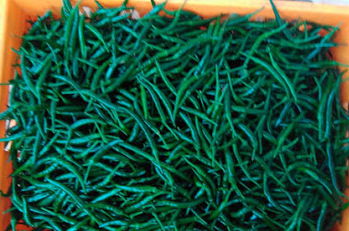 Birdeye Chillies  (Green)