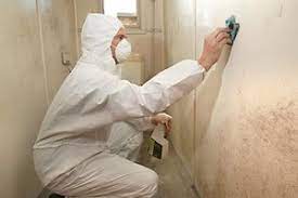 Exactly How Does Pro Mould Removal Work in Protecting You and also Your Home?