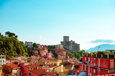 LERICI image