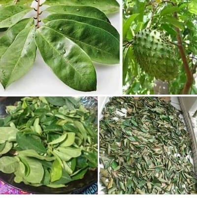 How to prevent diabetes, back pain and cancer.