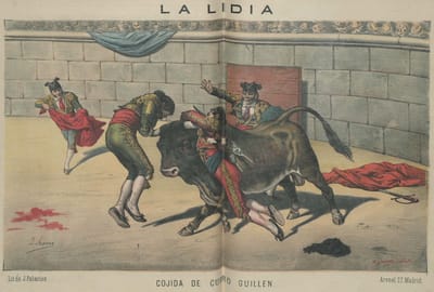 La lidia