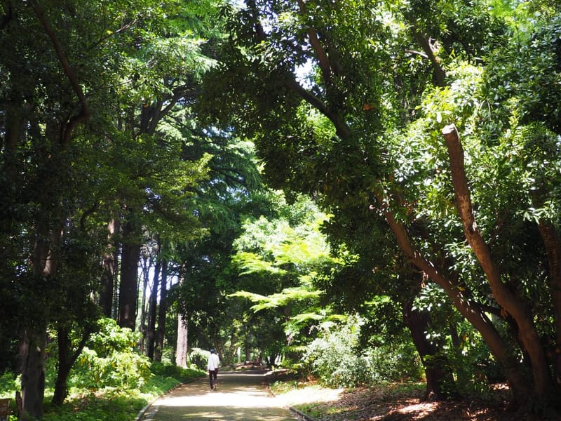 Atelier Motricité dans la nature
