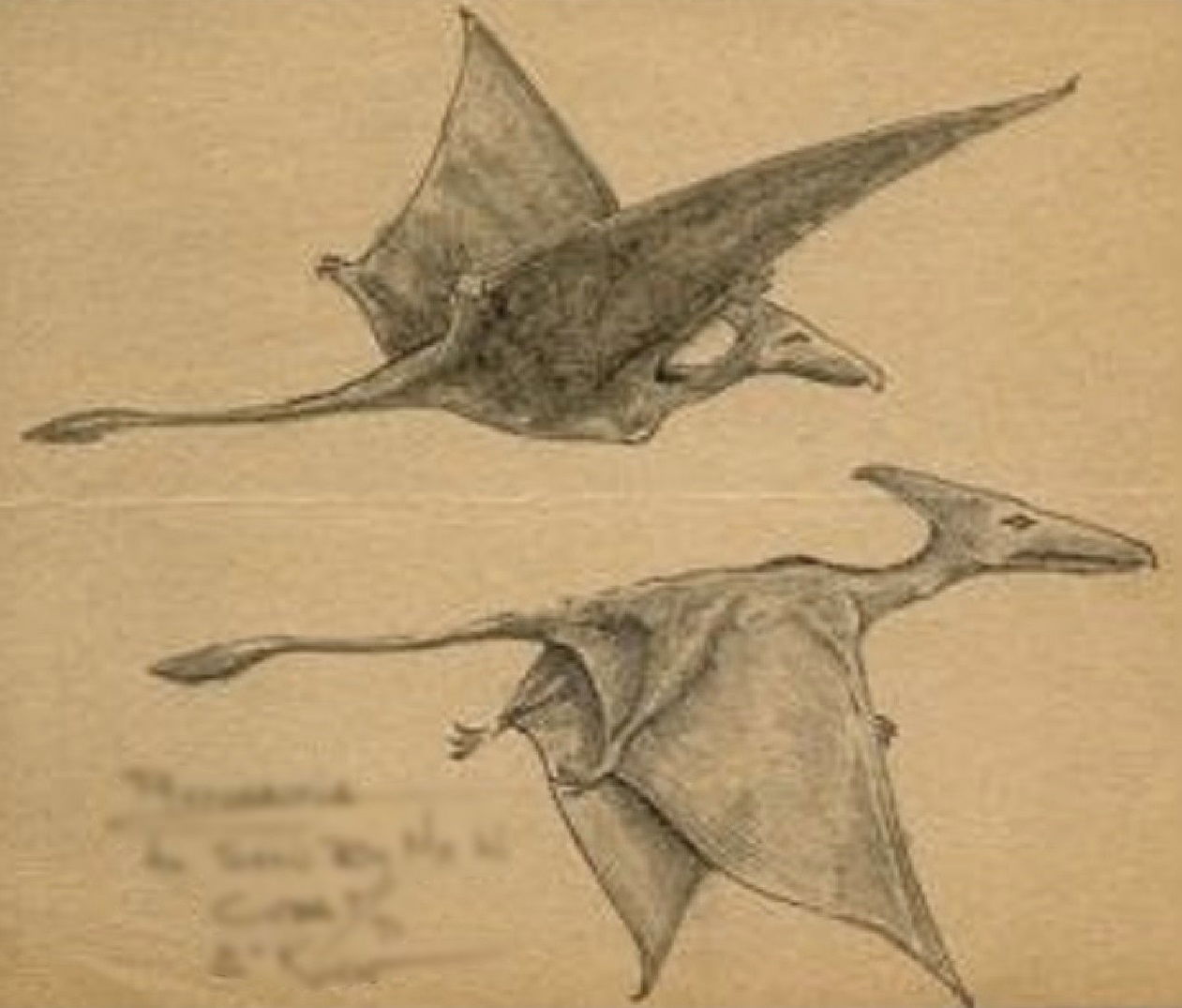 Two Milestones in Living-Pterosaur Cryptozoology