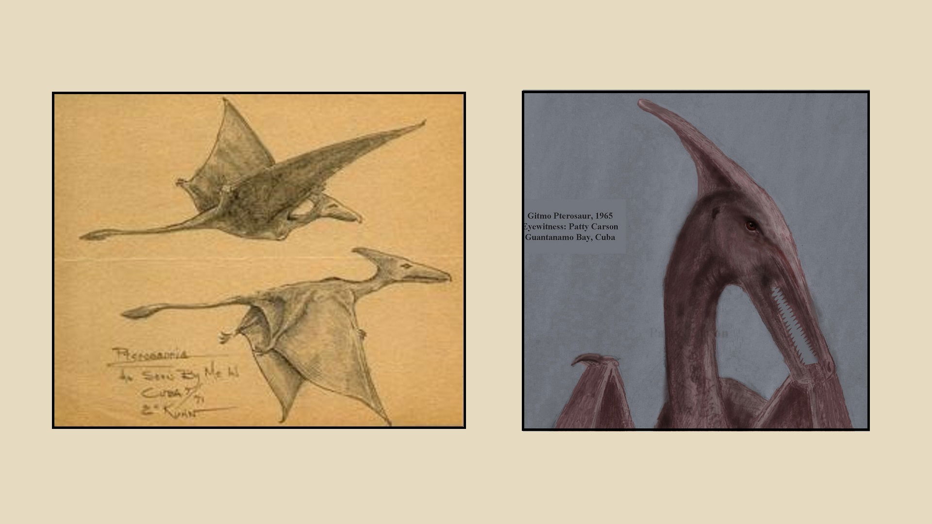 How can a Pterosaur be Still Living yet Undiscovered?