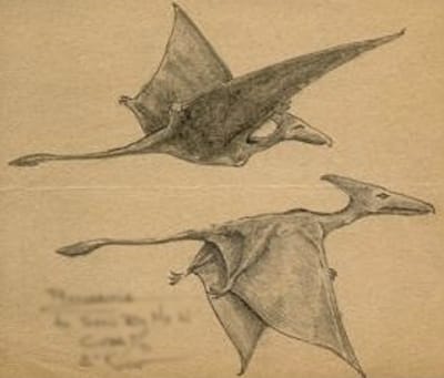 Two Milestones in Living-Pterosaur Cryptozoology
