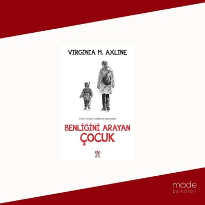 Benliğini Arayan Çocuk - Virginia M. Axline