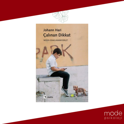 Çalınan Dikkat- Johann Hari