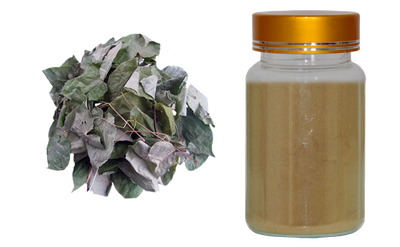 Buy Horny Goat Weed Extract and Red Yeast Rice Powder Online