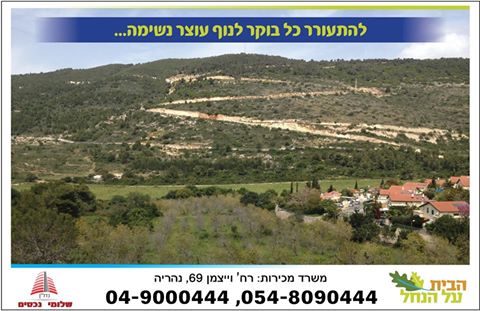 נוף מהדירות