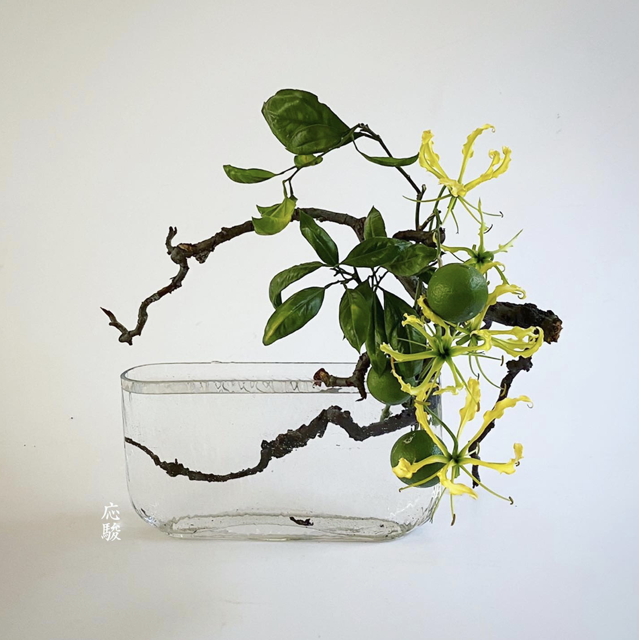 Exhibition of 20 Artists from Ikebana Shofu