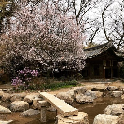 새소리 물소리 소개 image