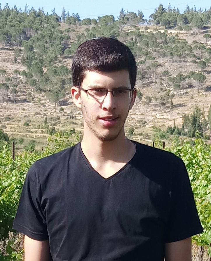 אלעד קרן-צבי