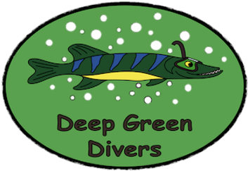 deepgreen.it