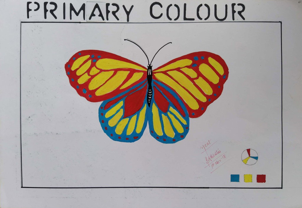 Primary Colour Scheme