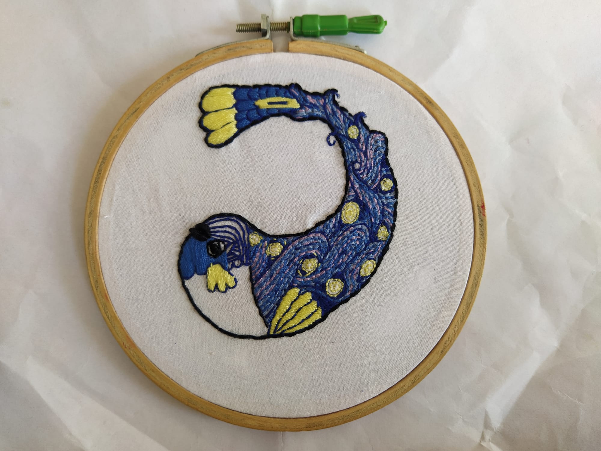 The Starry Night Project