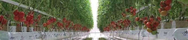 Exemple de partenariat vertueux