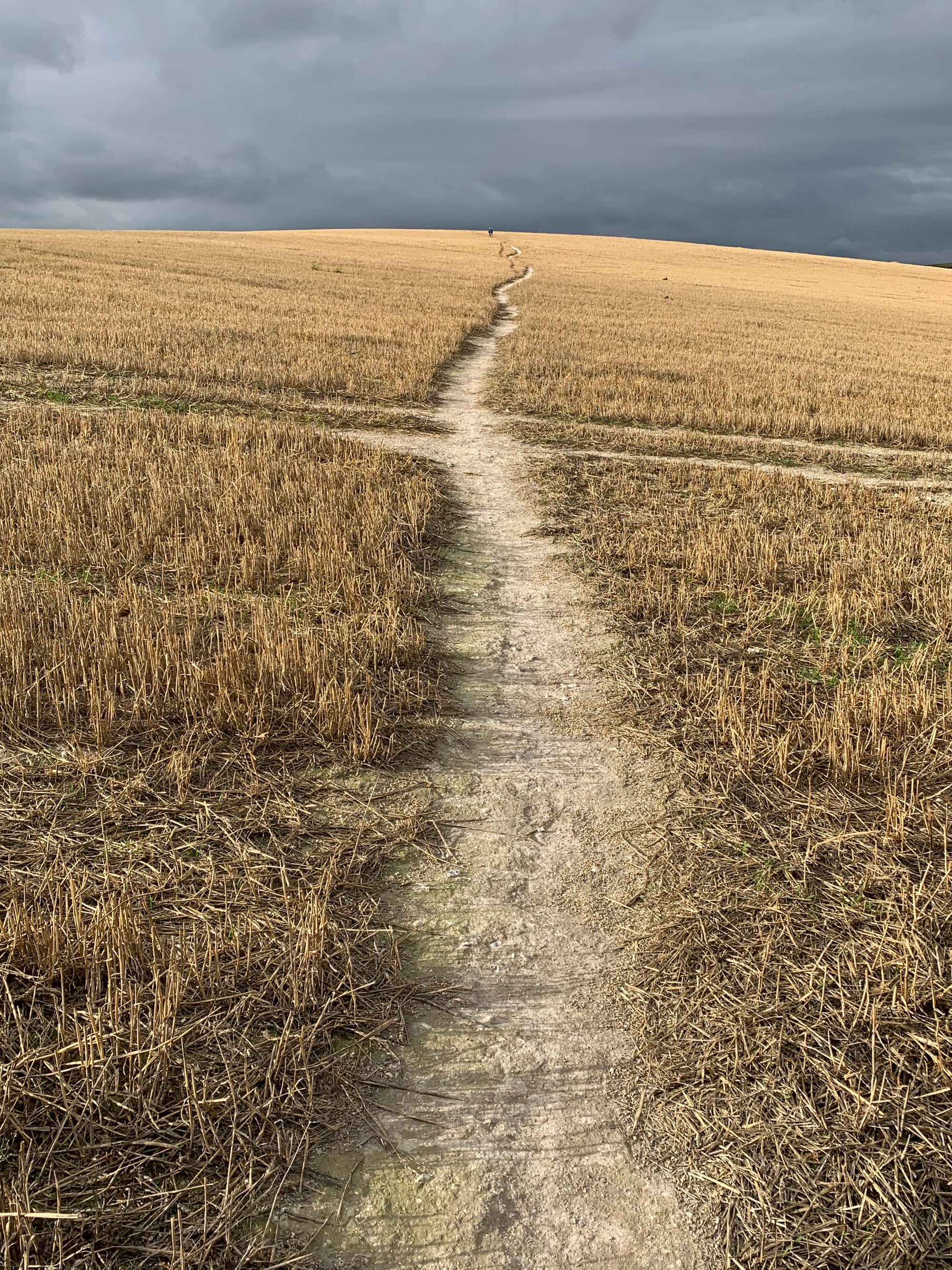 Gardner's Hill, South Downs, East Sussex