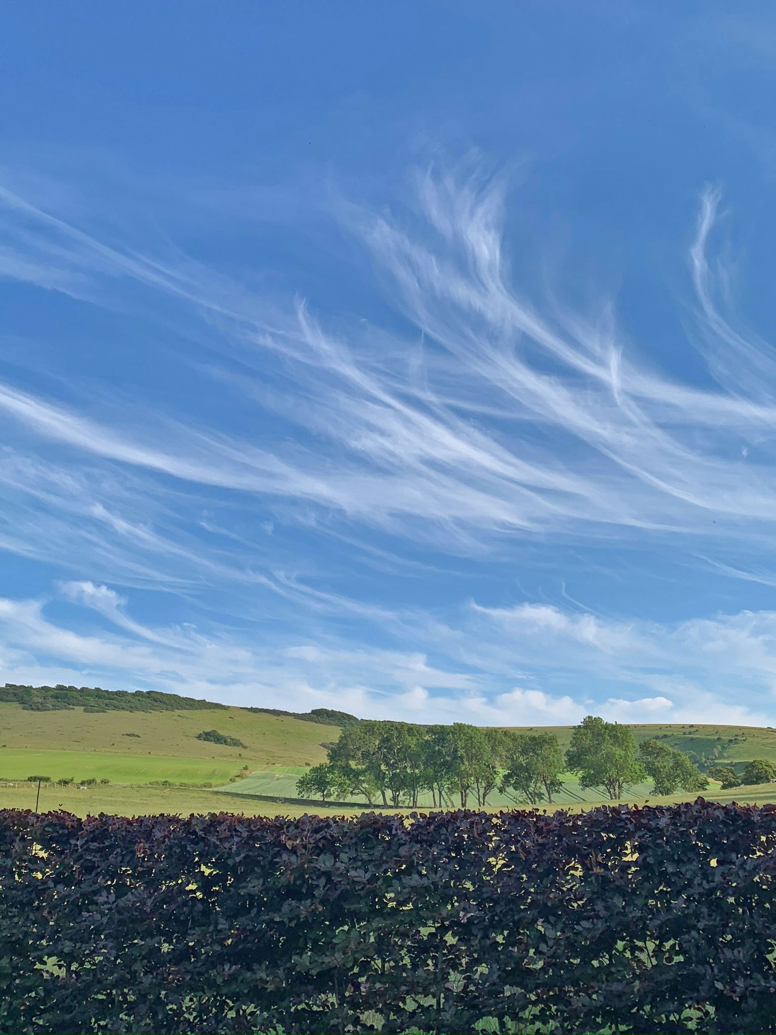 Mares Tails, Beddingham, East Sussex