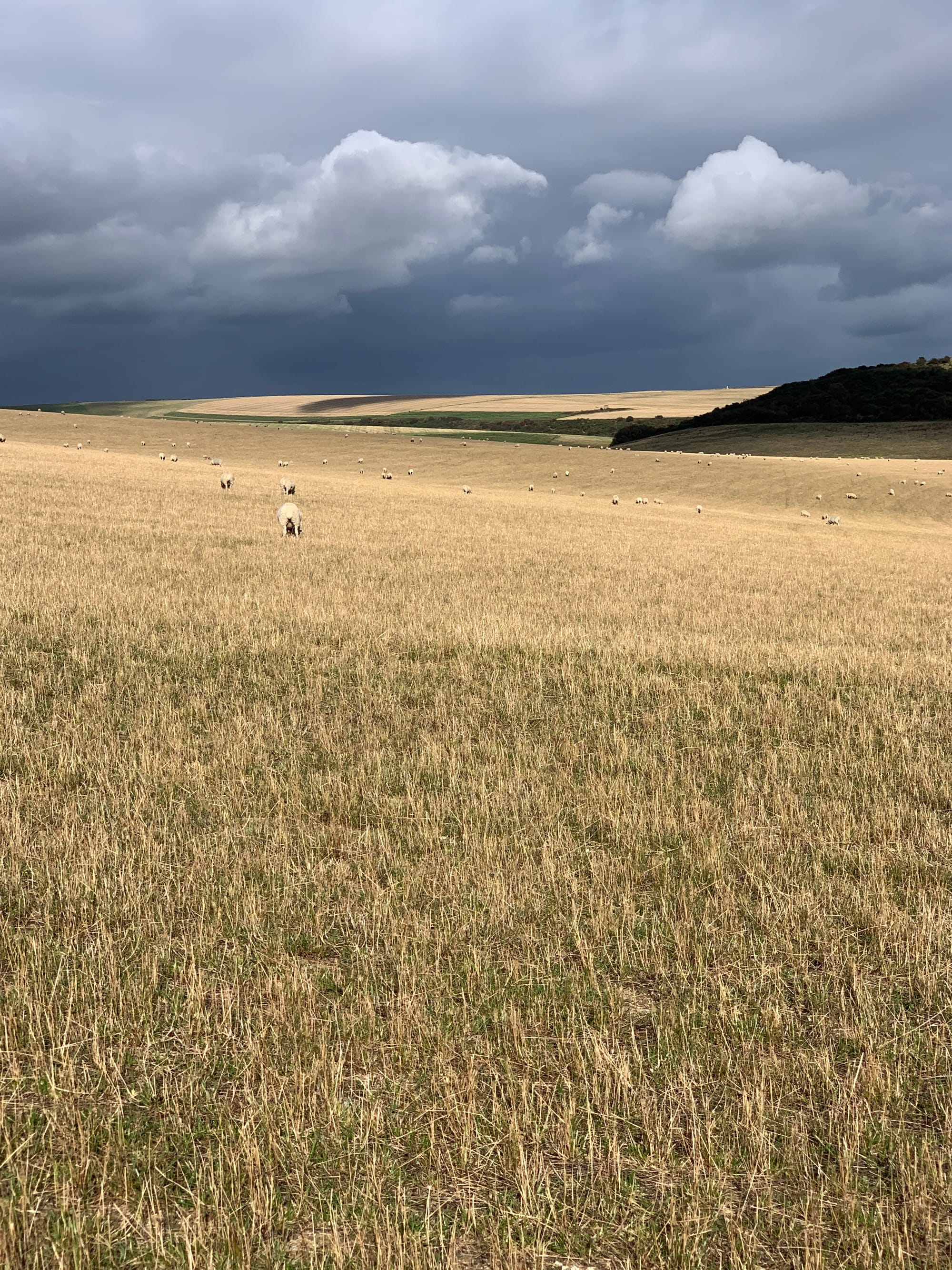 Blackcap Hill, East Sussex