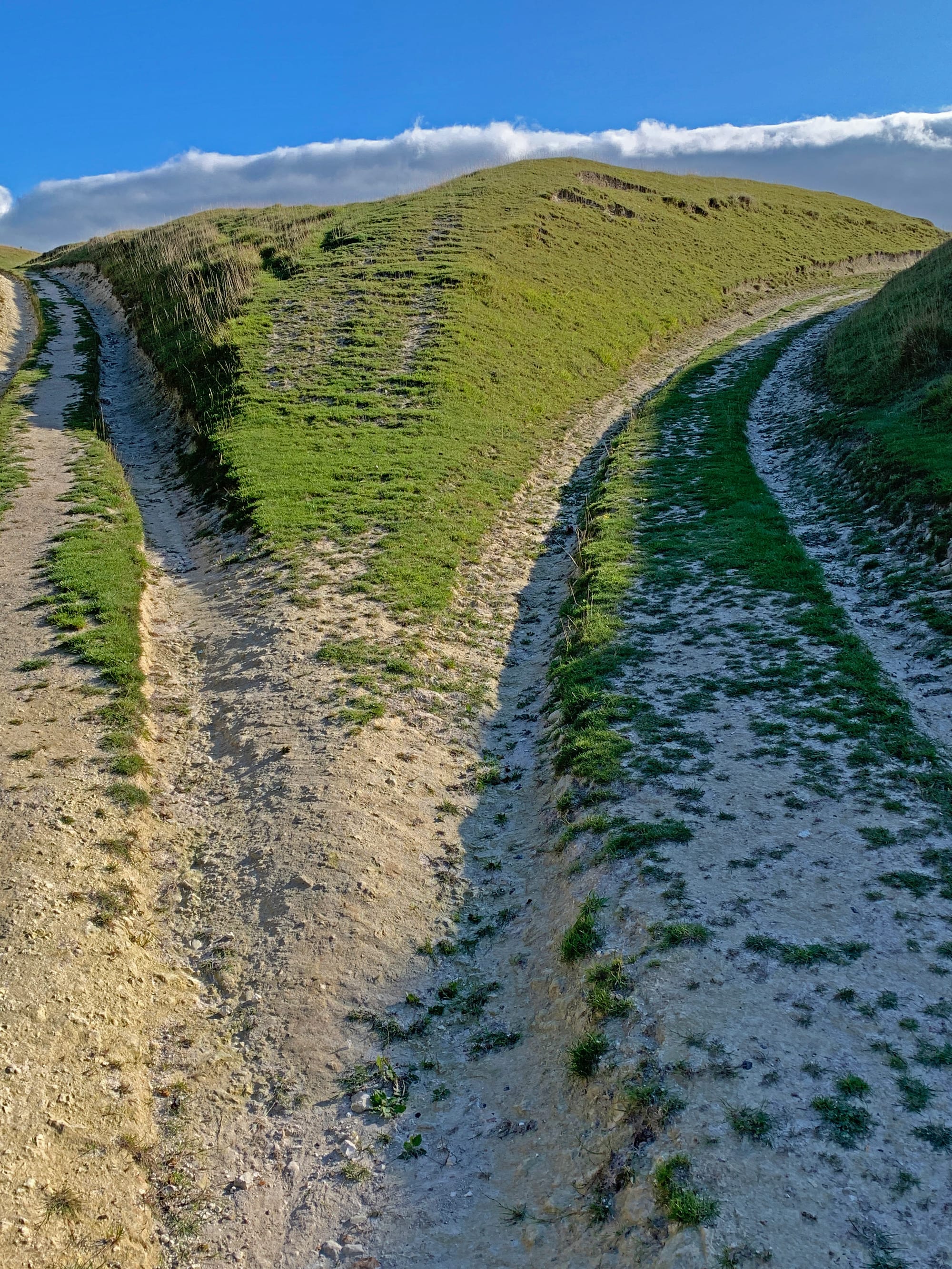 Parting of The Way, Saxon Down, East Sussex