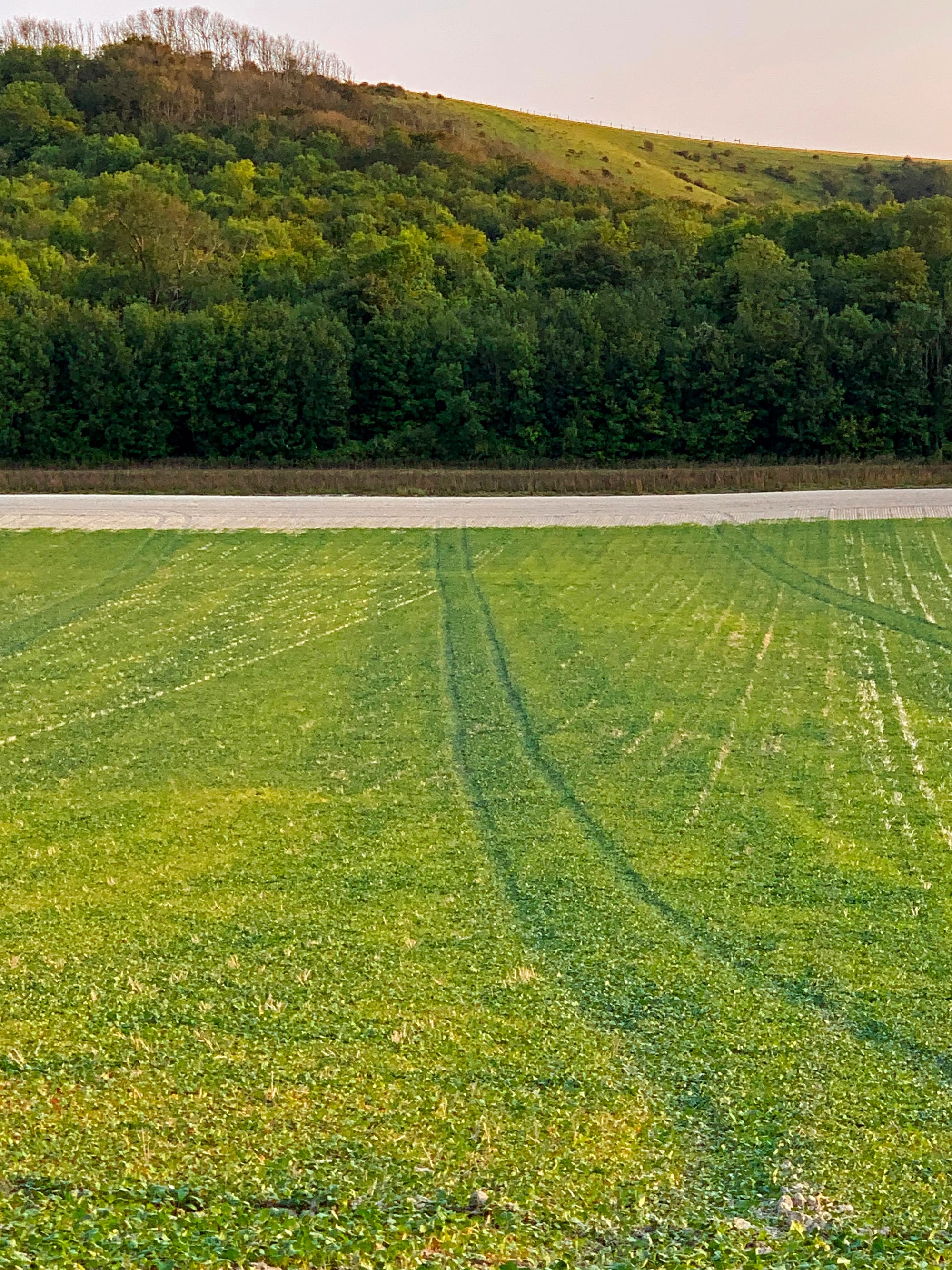 Levitation, Firle, East Sussex