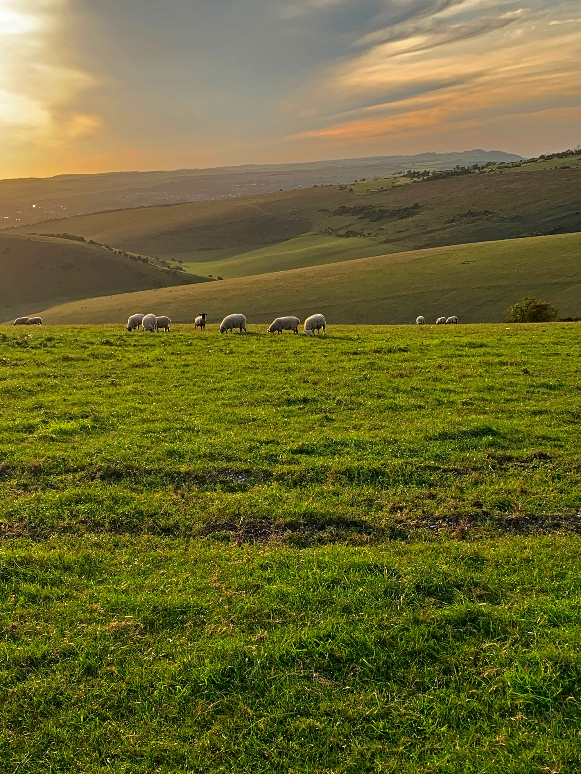 Bible Bottom, East Sussex