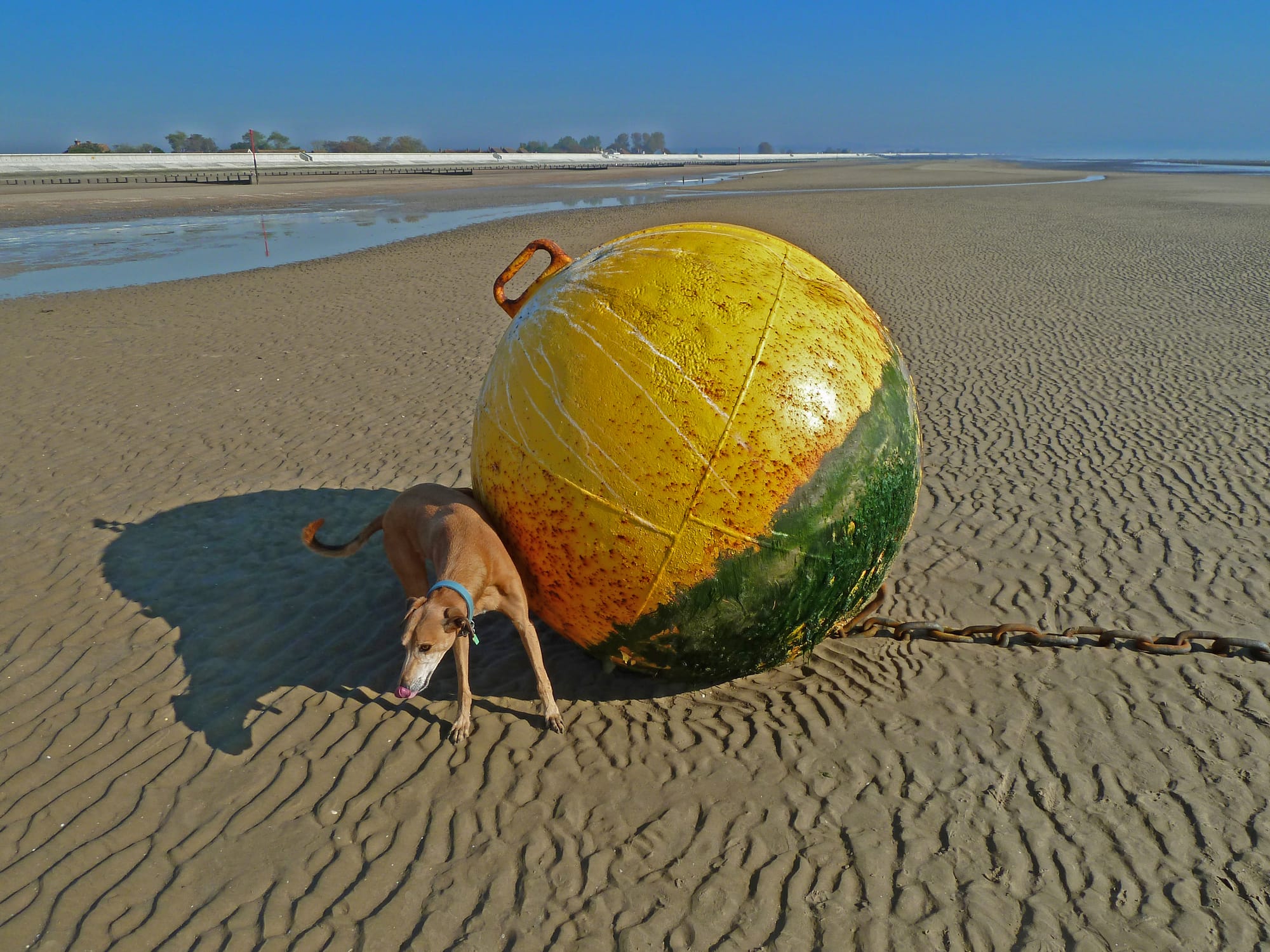 Ted's Business, Dymchurch Beach, Kent