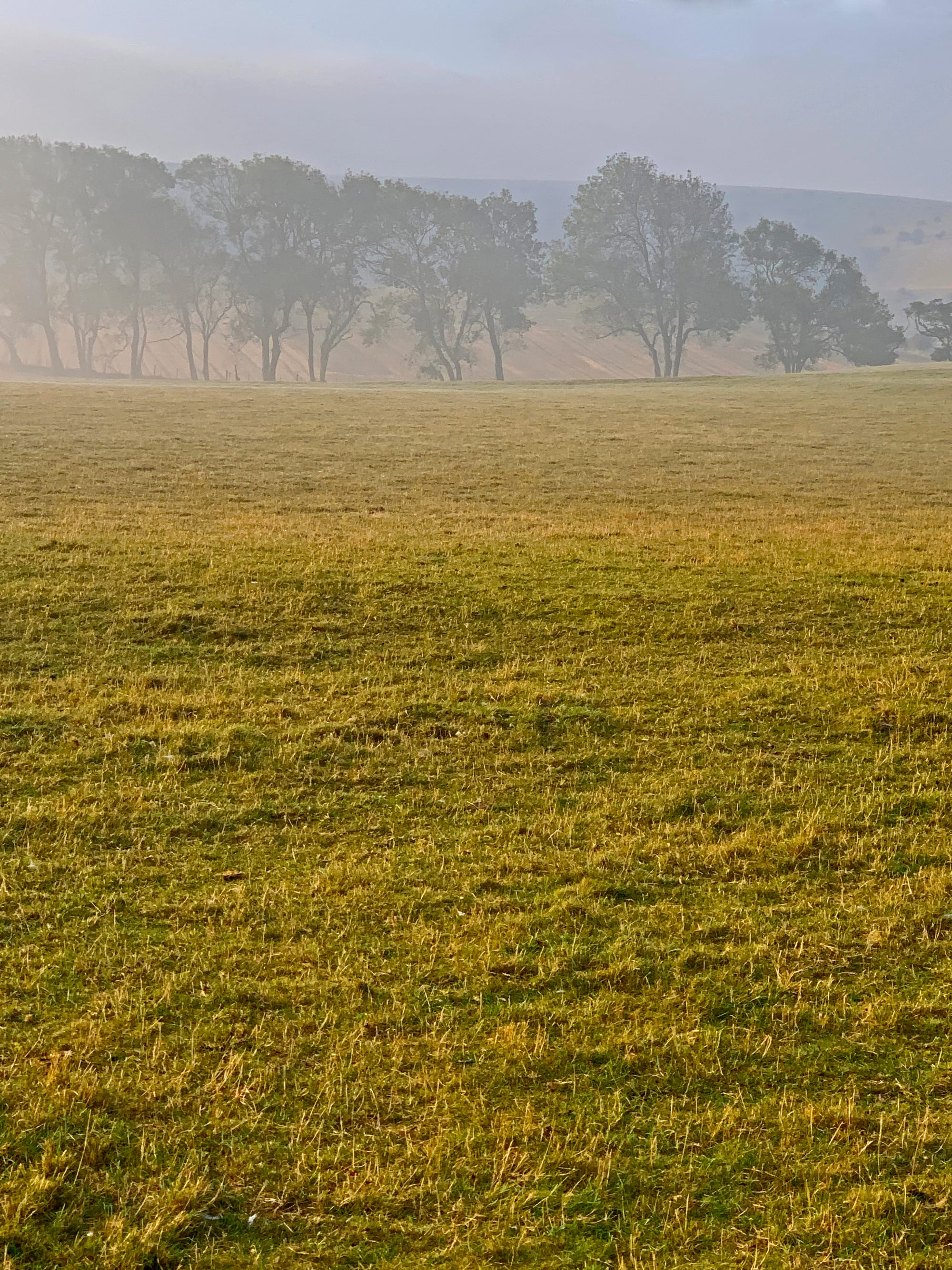 Autumn morning, Beddingham, East Sussex