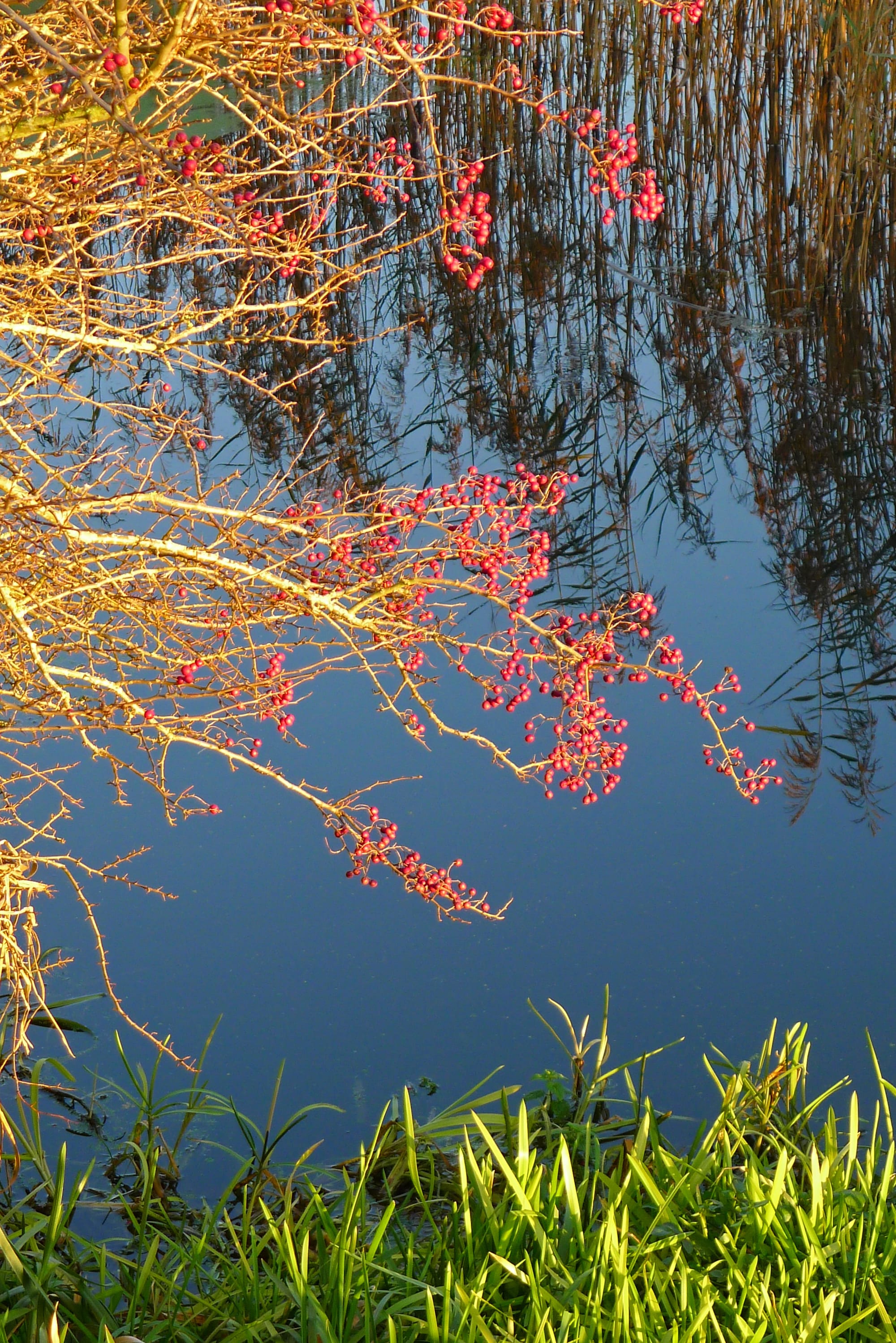 Glynde Reach, East Sussex