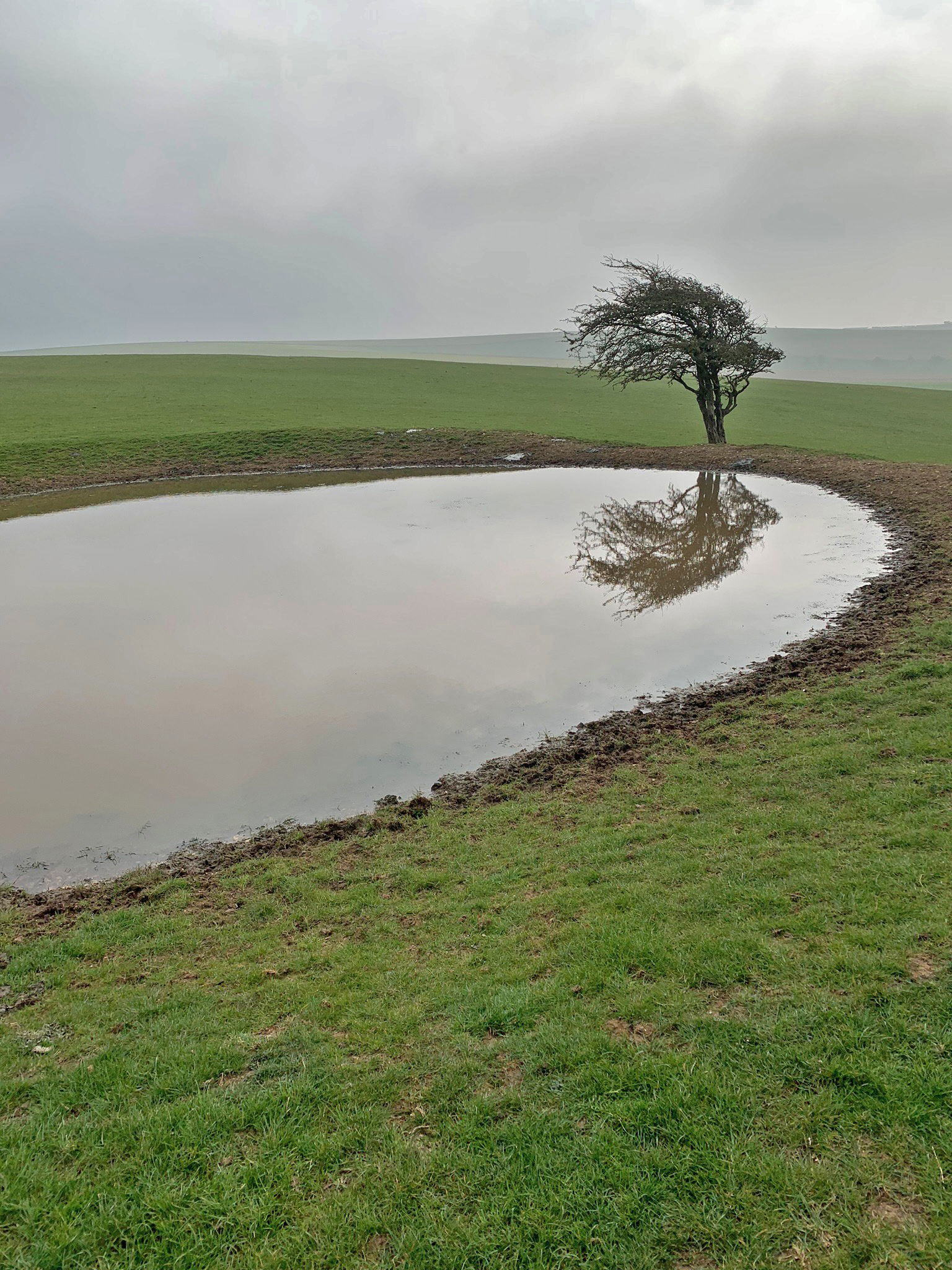 Dewpond on the Downs, East Sussex