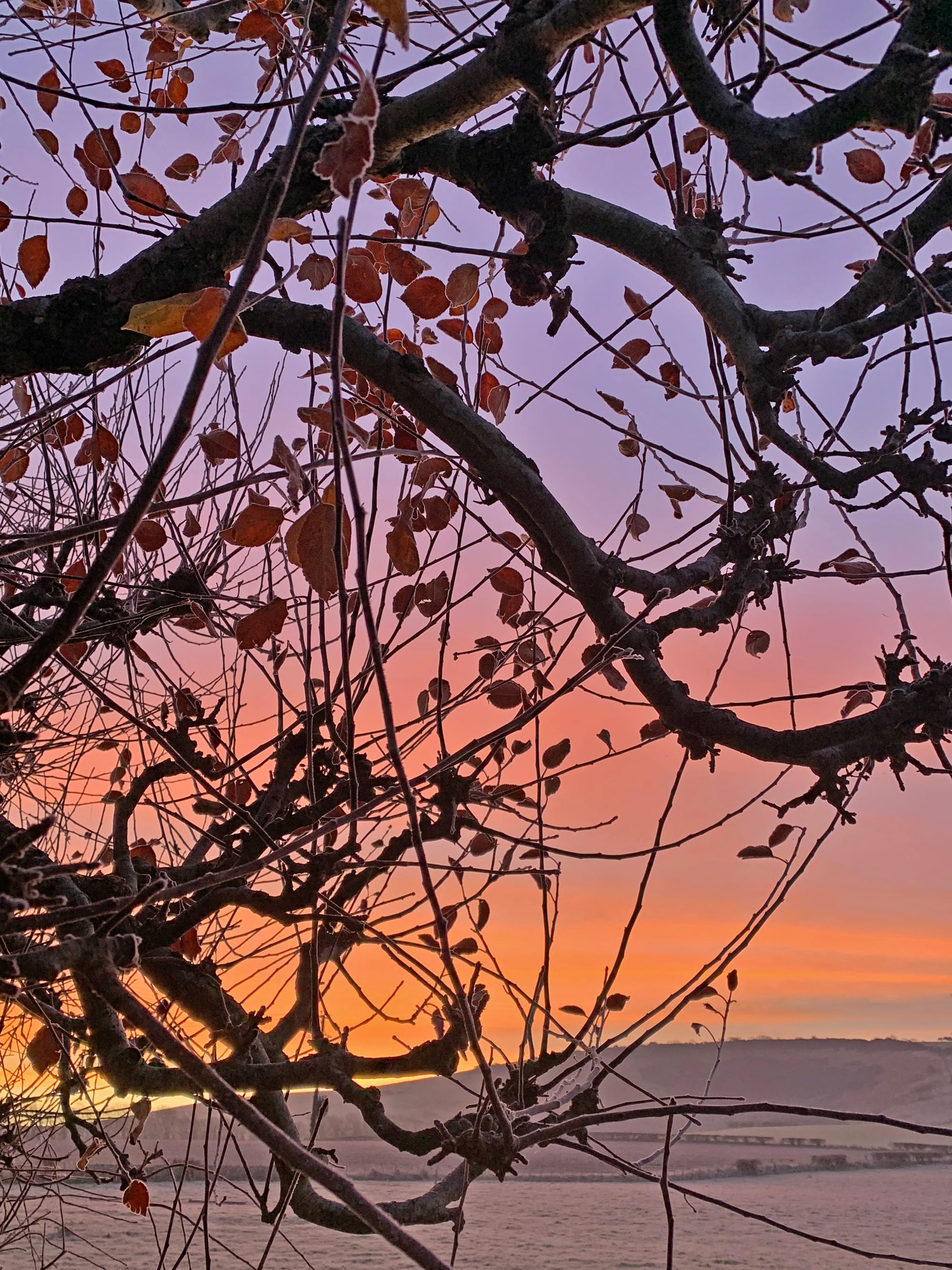 Frosty Dawn, Beddingham, East Sussex