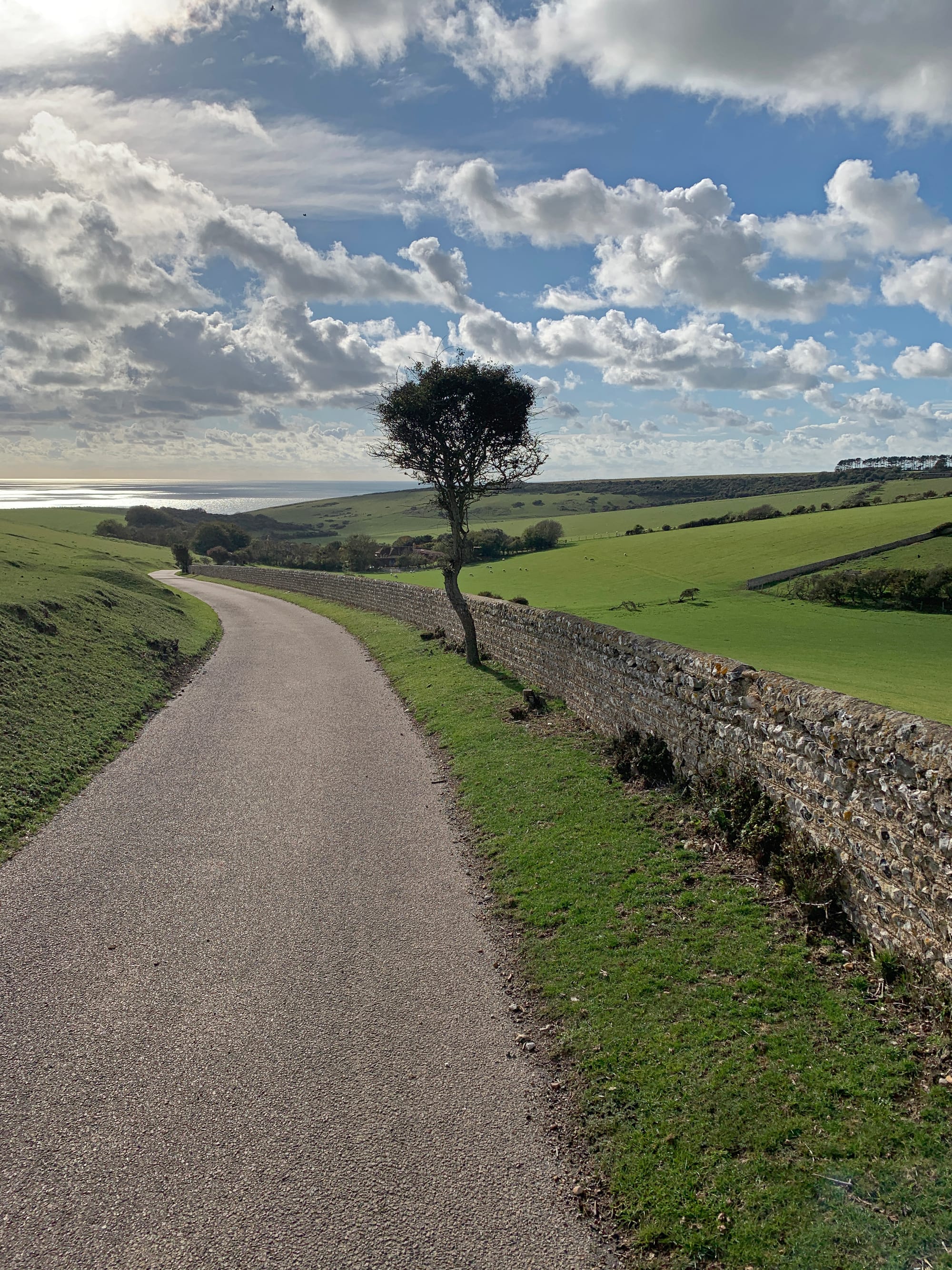 Lane to Crowlink, East Sussex