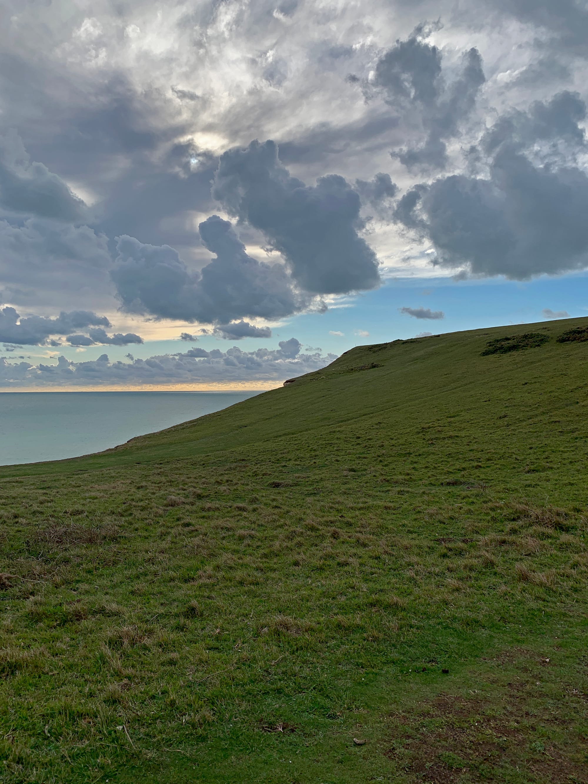 Crowlink Cliffs, East Sussex