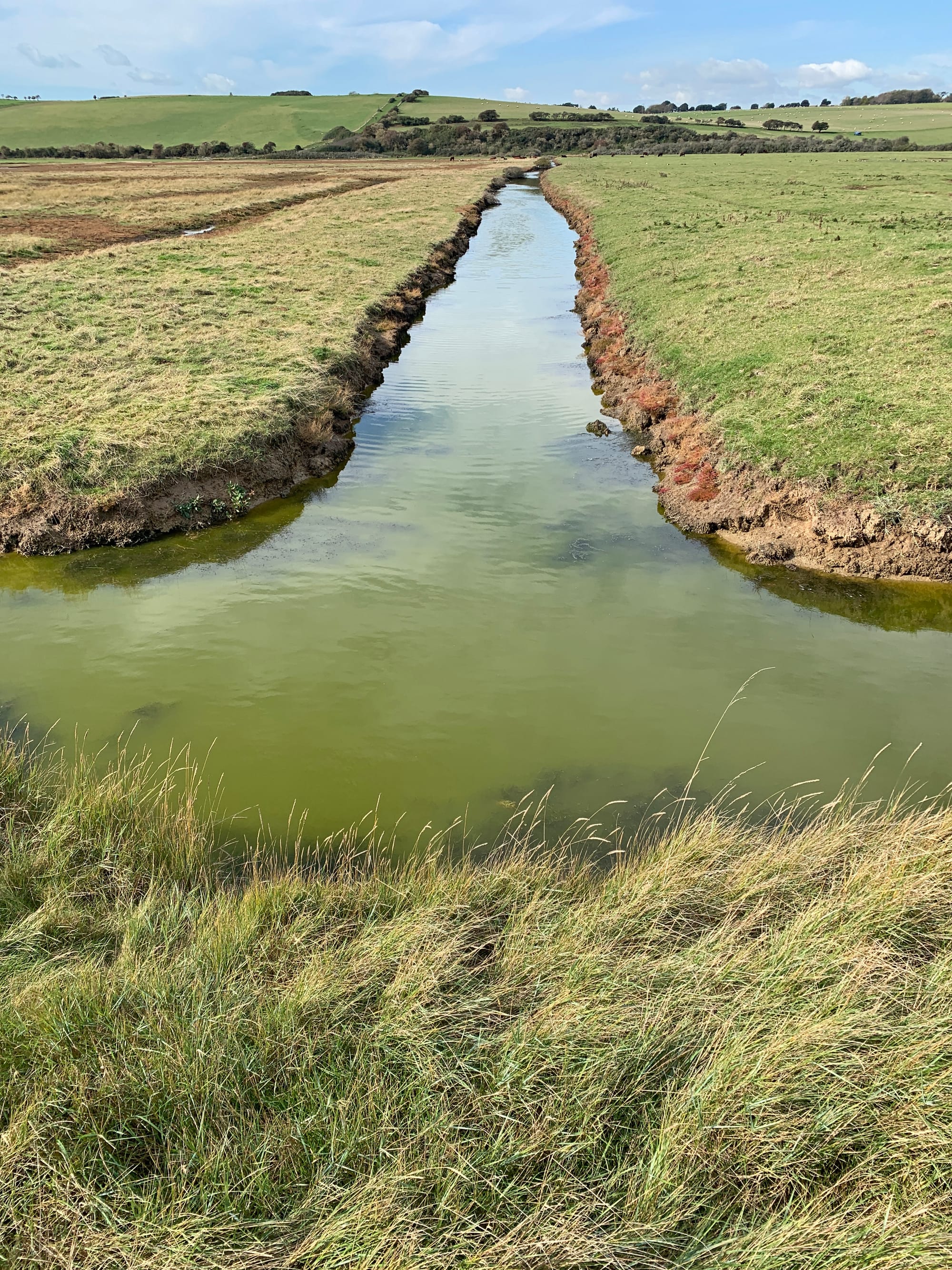 Cuckmere wetlands, East Sussex