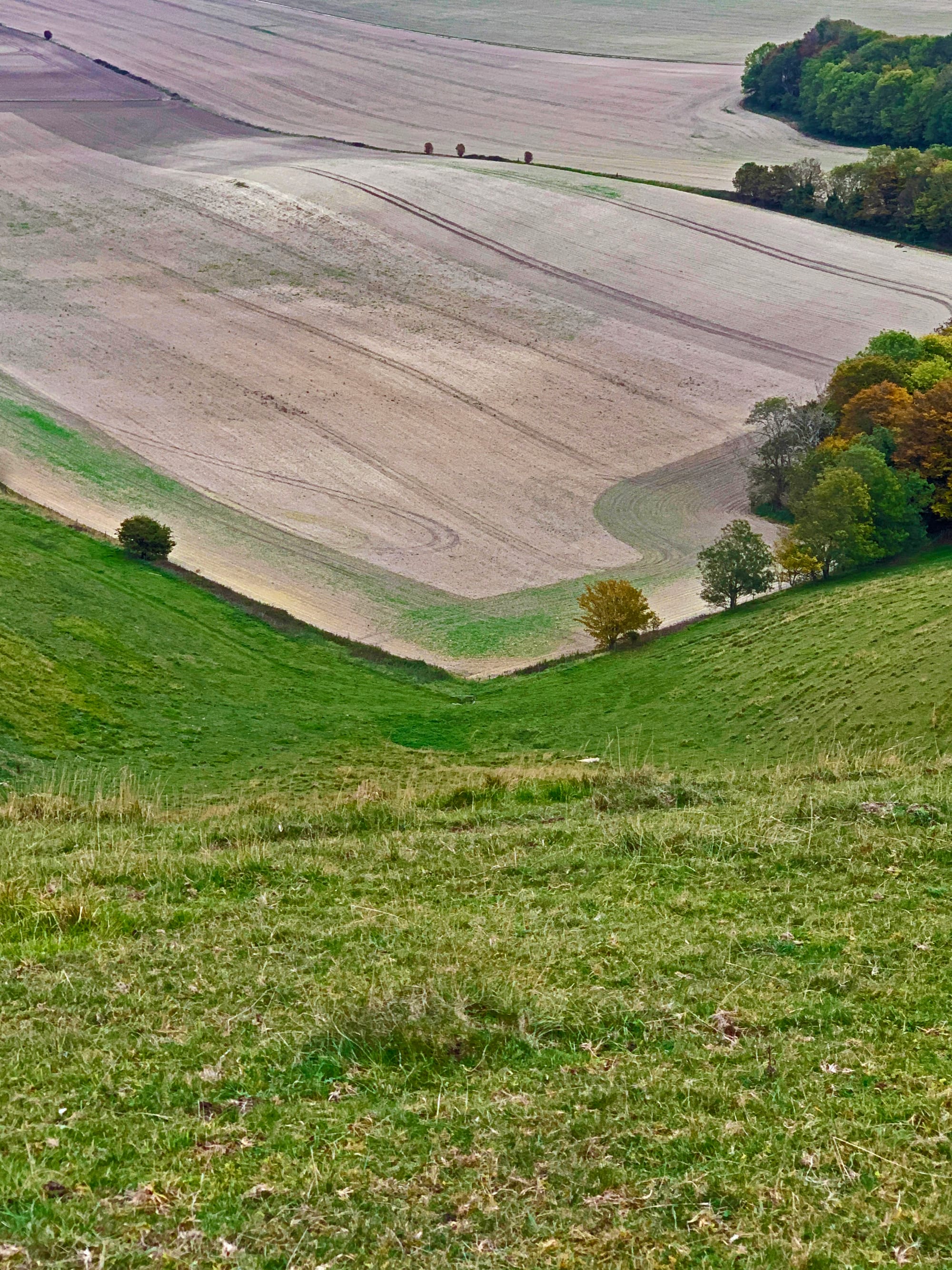 Swanborough Ridge, East Sussex