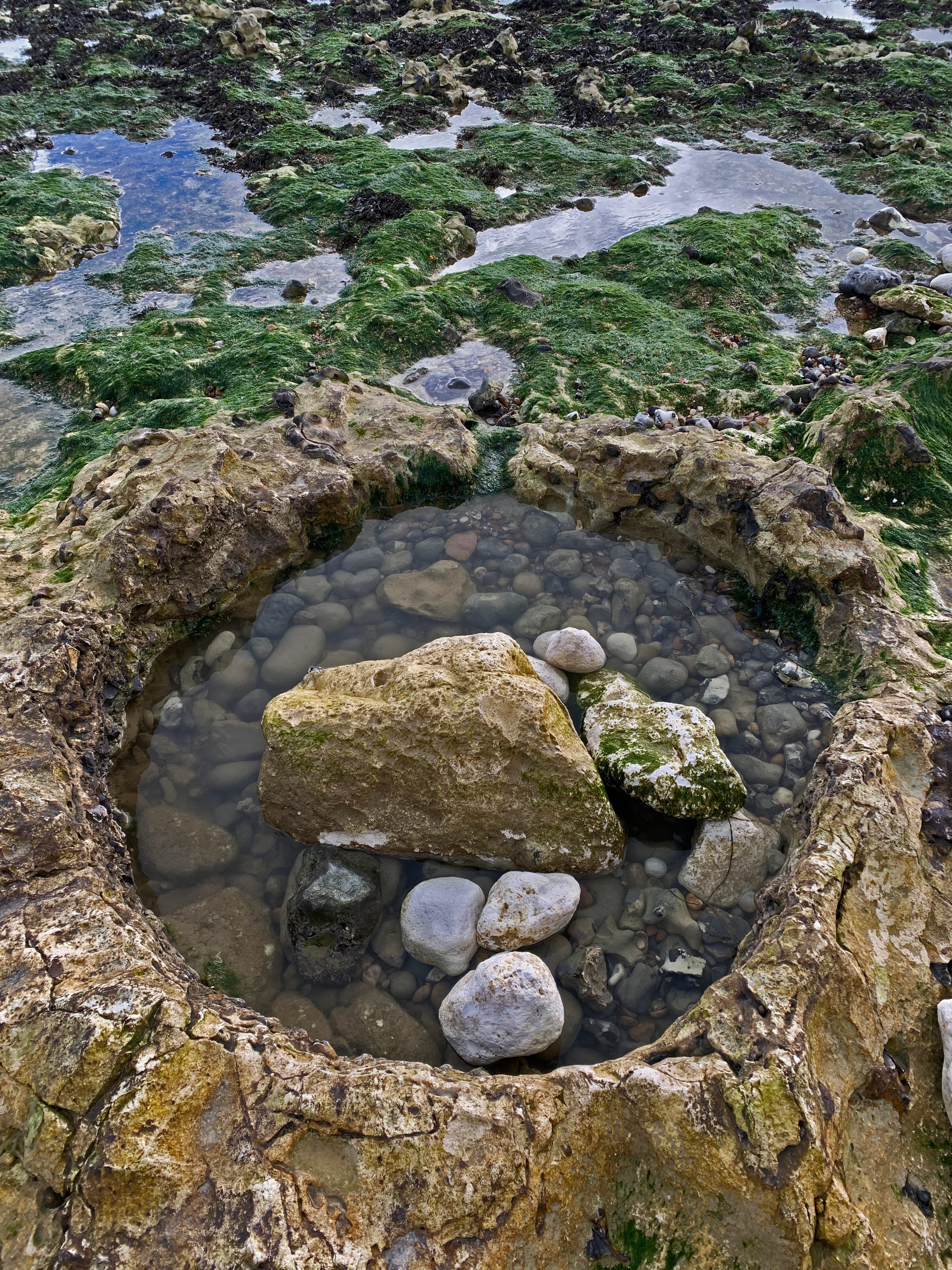 Natures Crucible, Hope Gap, East Sussex