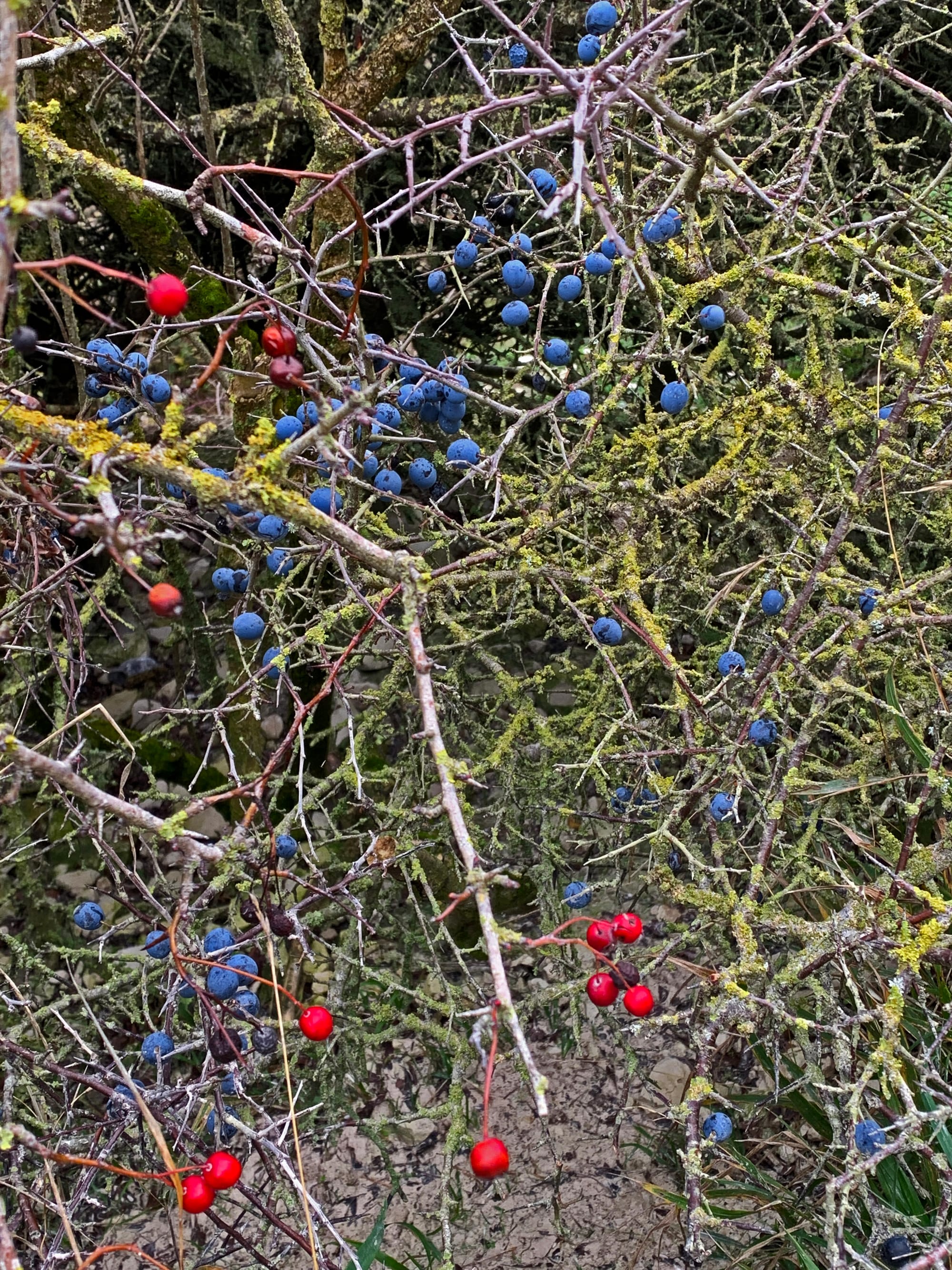 Flash of Colour, Cow Gap, East Sussex