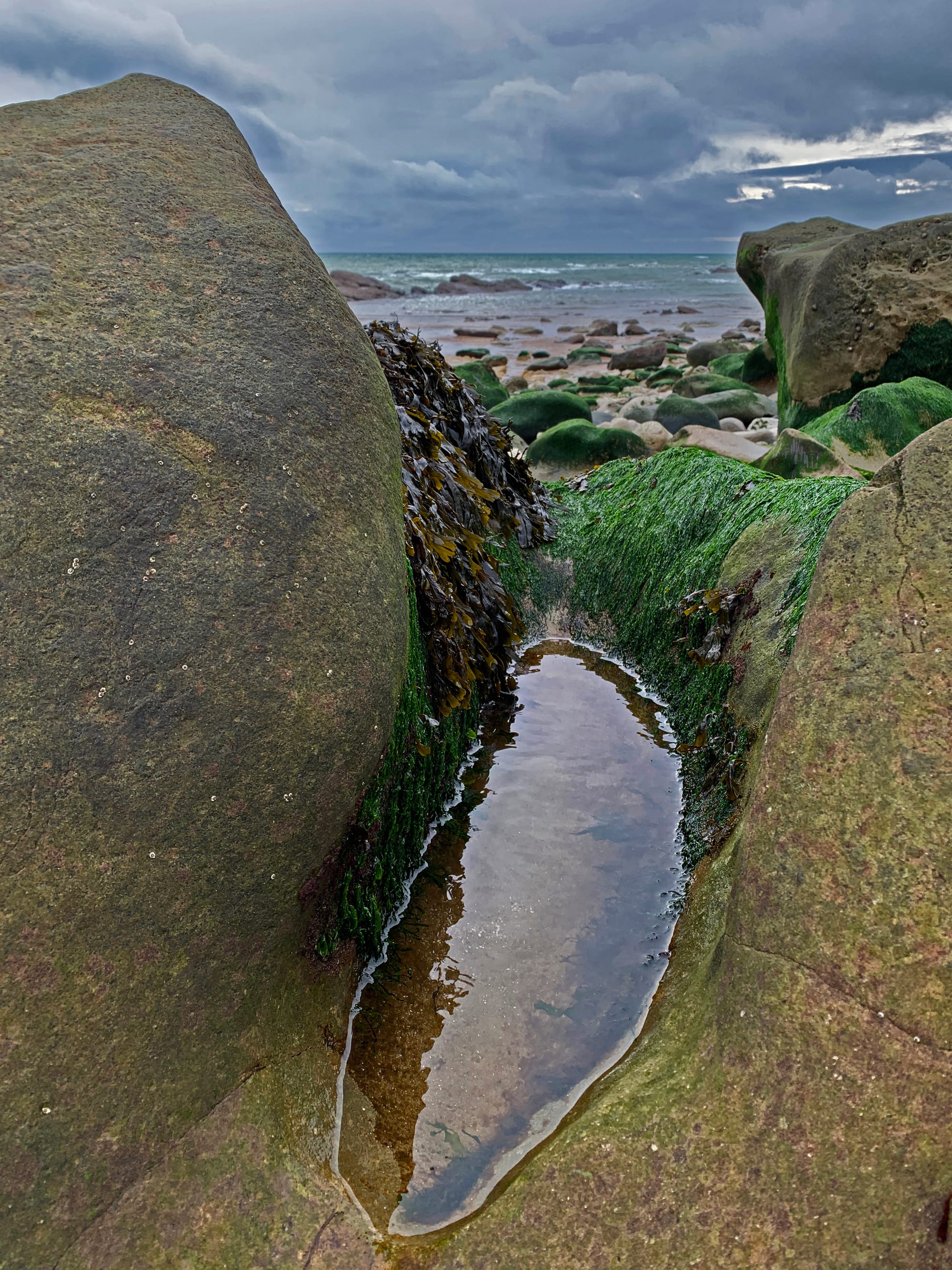 Low Tide, Cow Gap, East Sussex