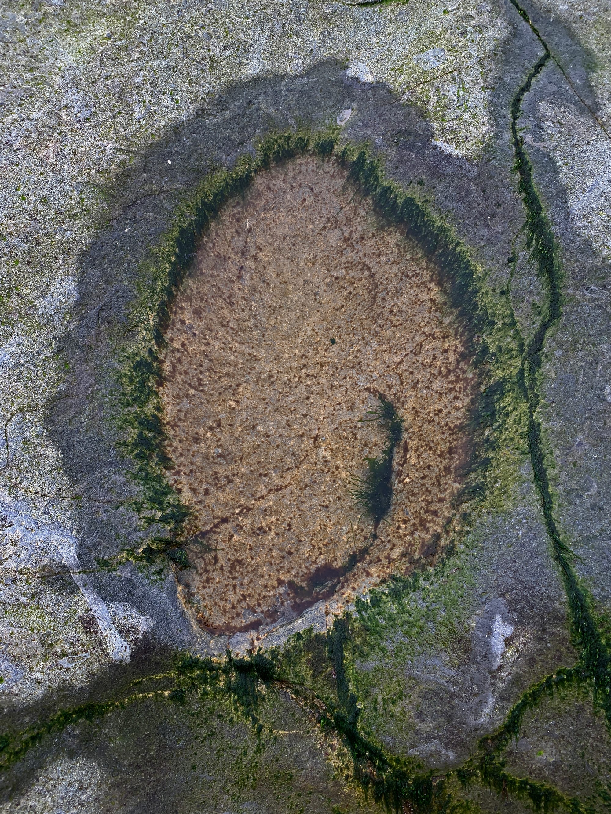 Rock Pool, Cow Gap, East Sussex