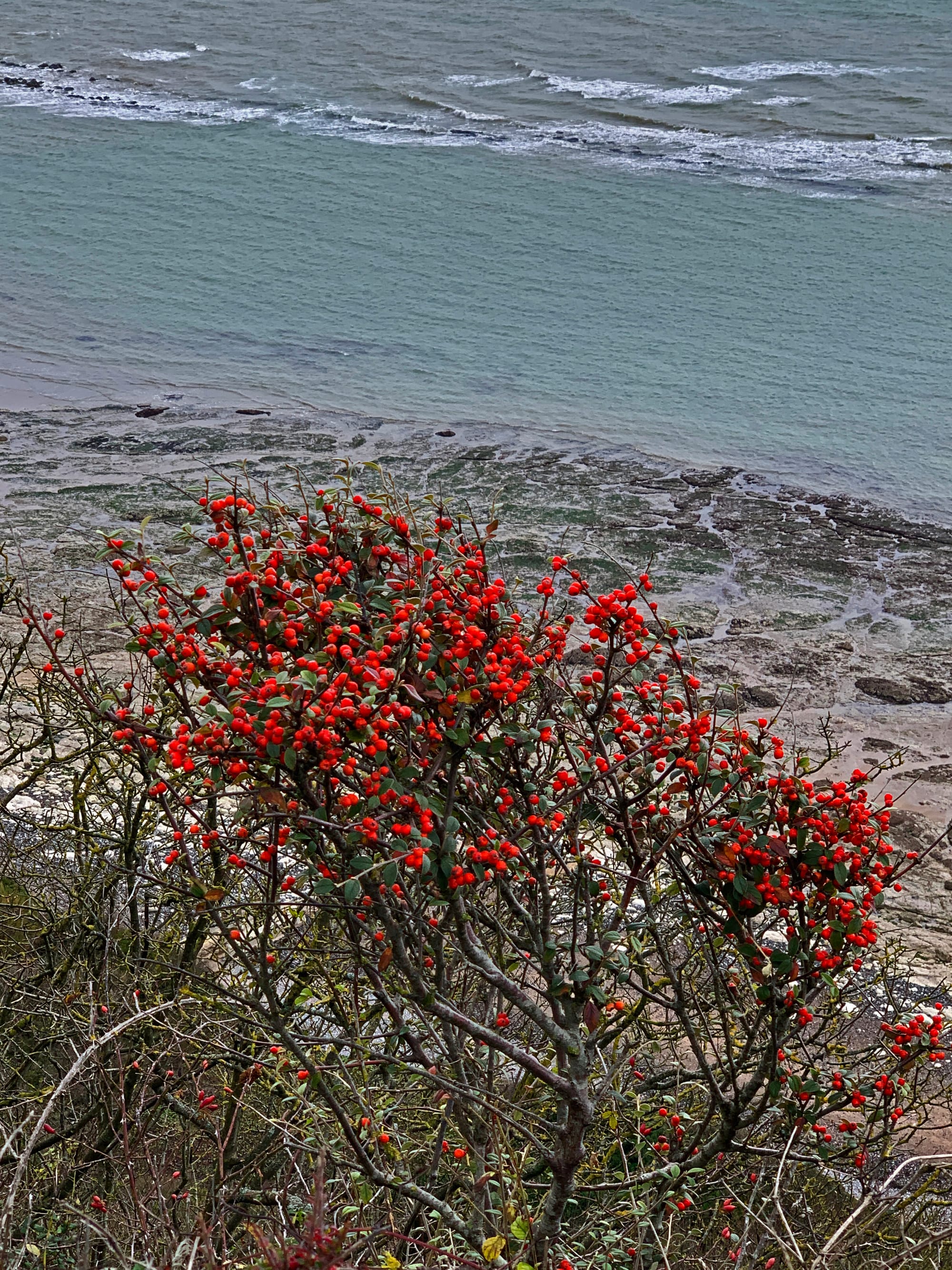 Hollywell Ledge, Cow Gap, East Sussex