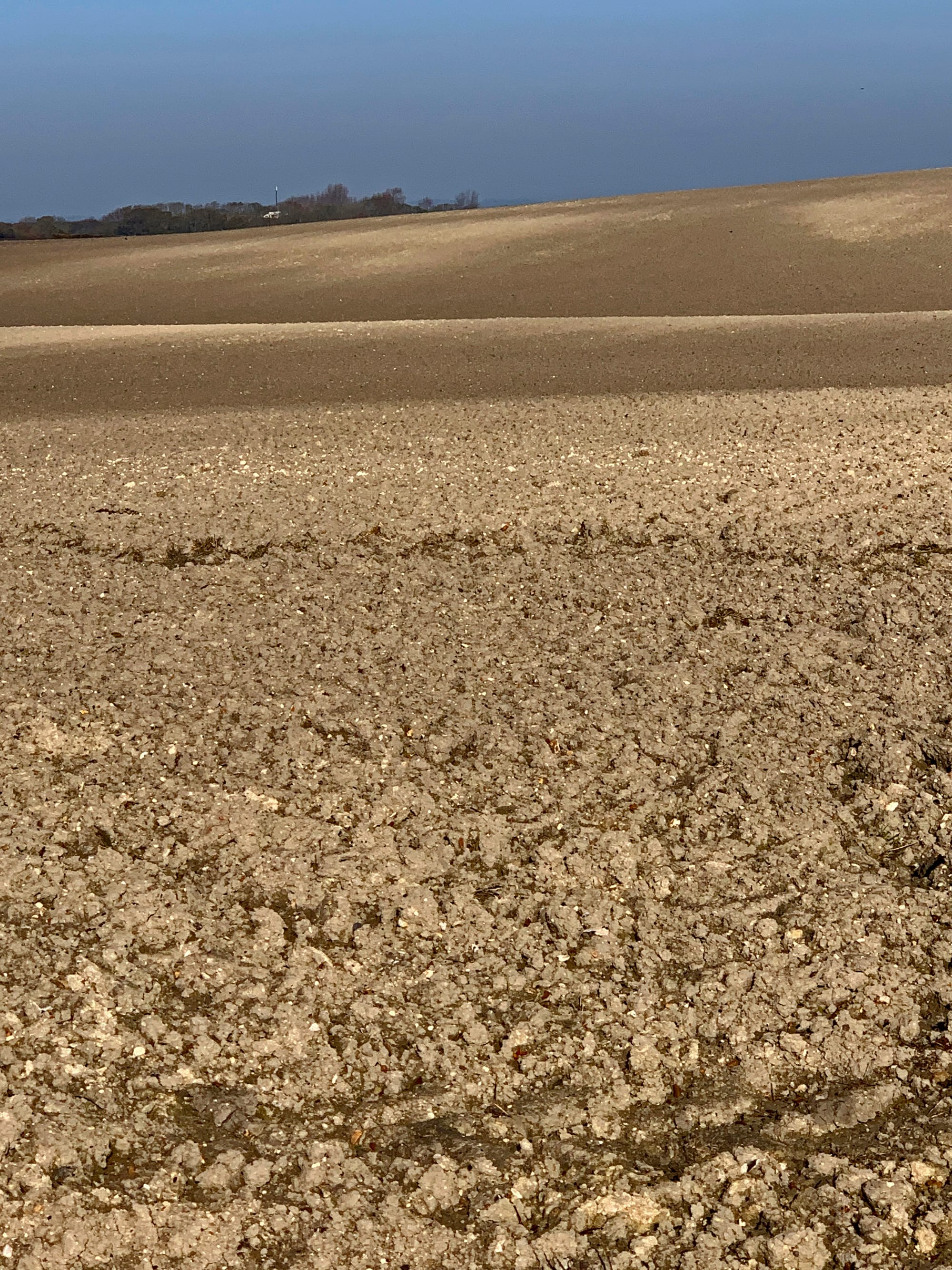 Ploughed Fields of Berwick