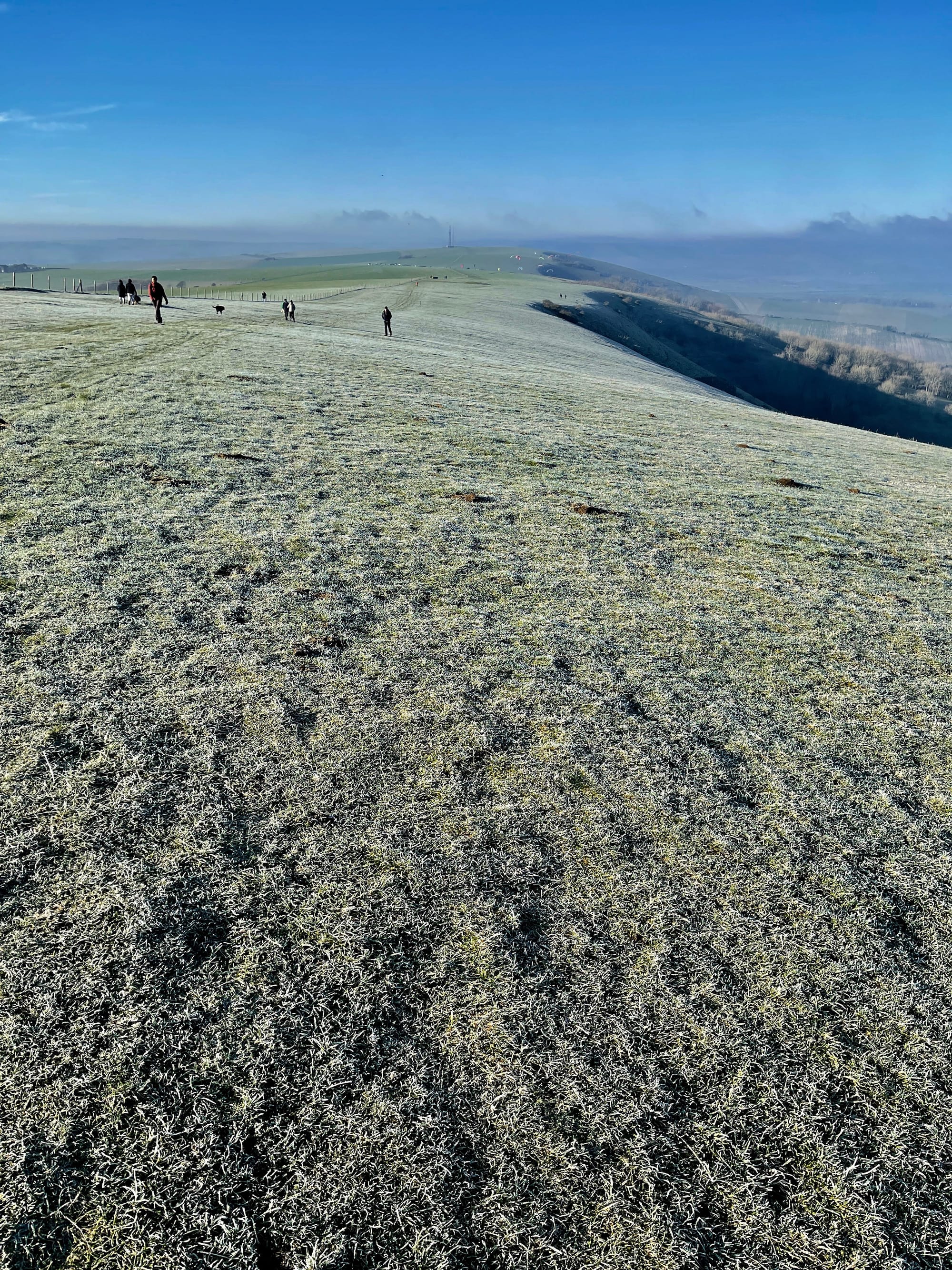 Jack Frost. Firle, East Sussex