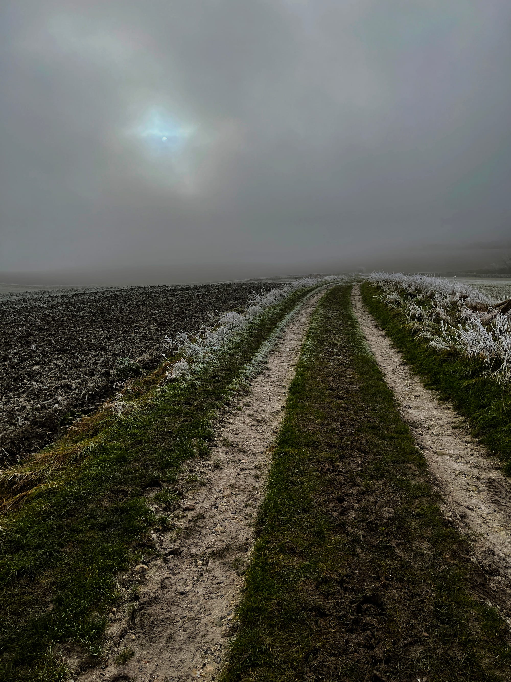 Mid-winter Chill, Charleston, East Sussex