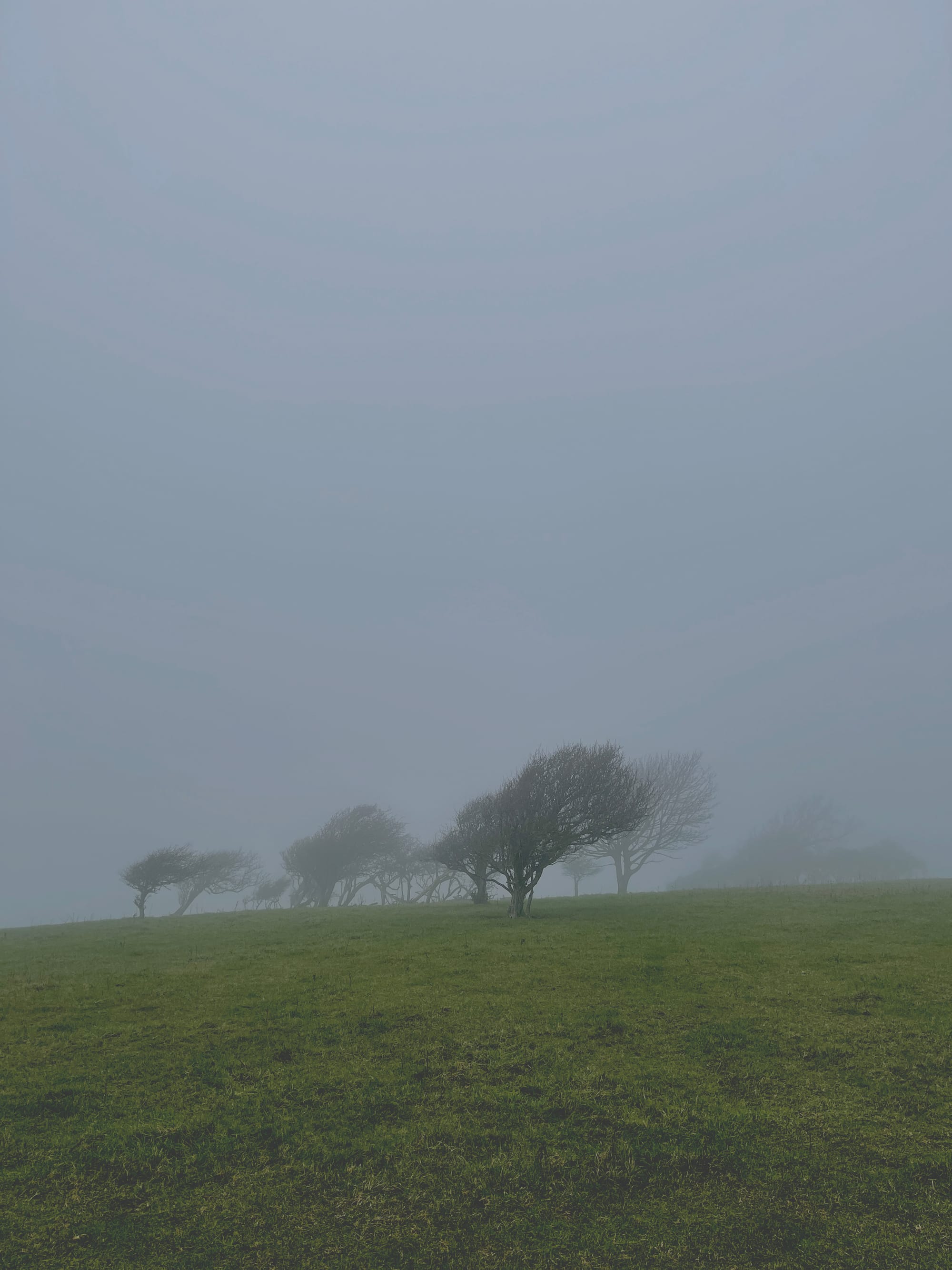 Low Cloud on The Downs, Beddingham