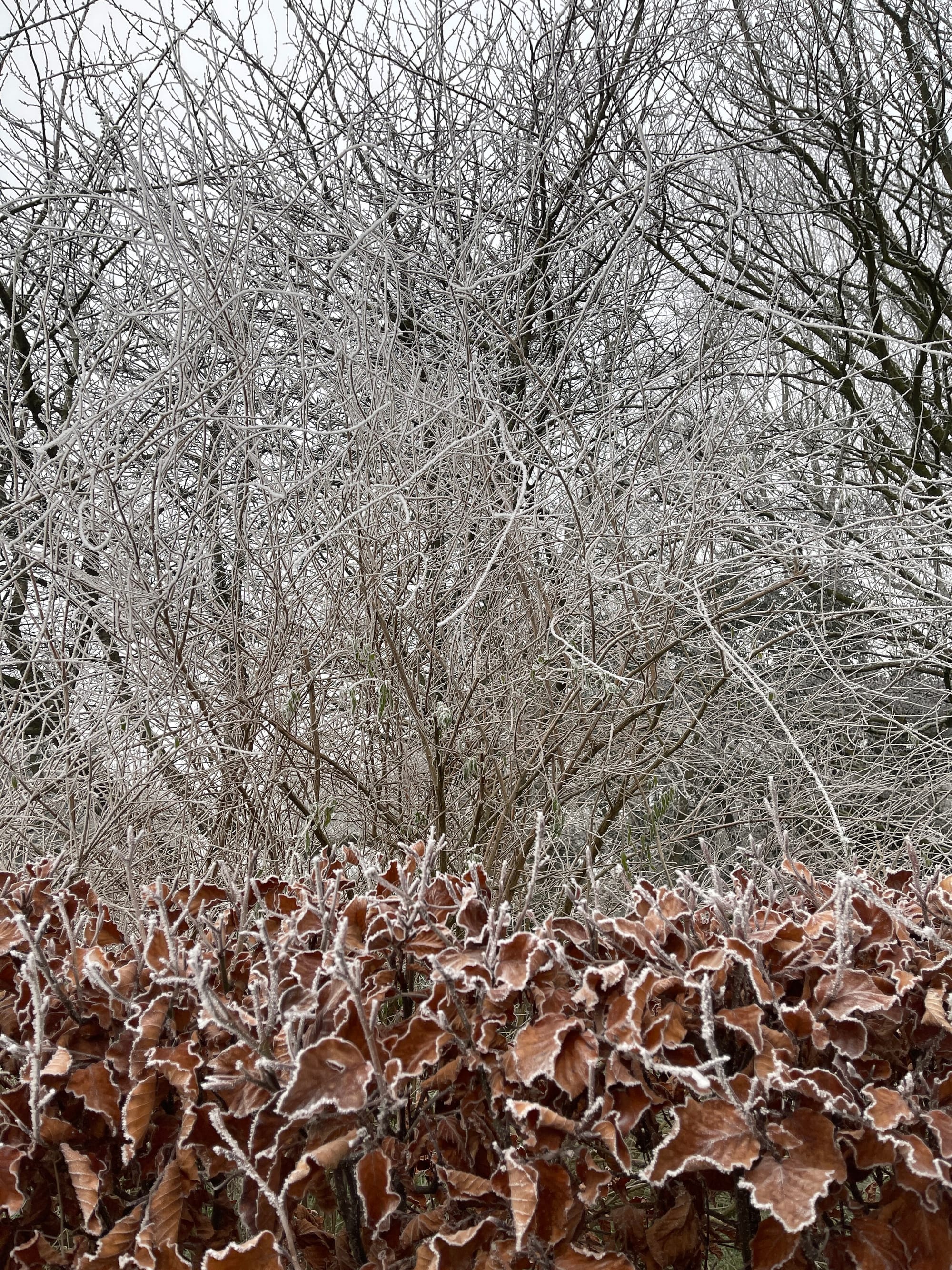 A Cold Snap! Beddingham, East Sussex