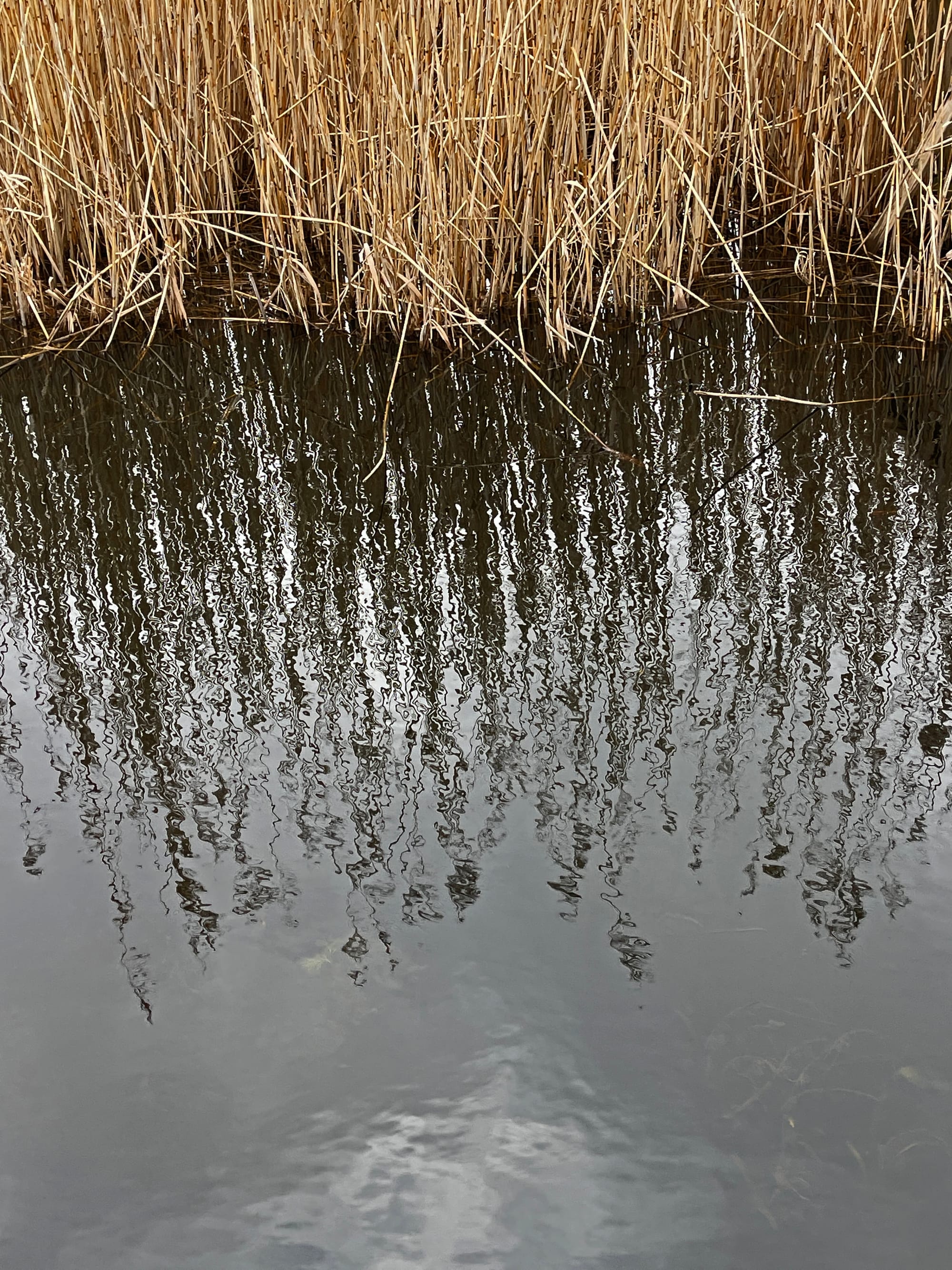 Dancing Reflections. Rodmell, East Sussex