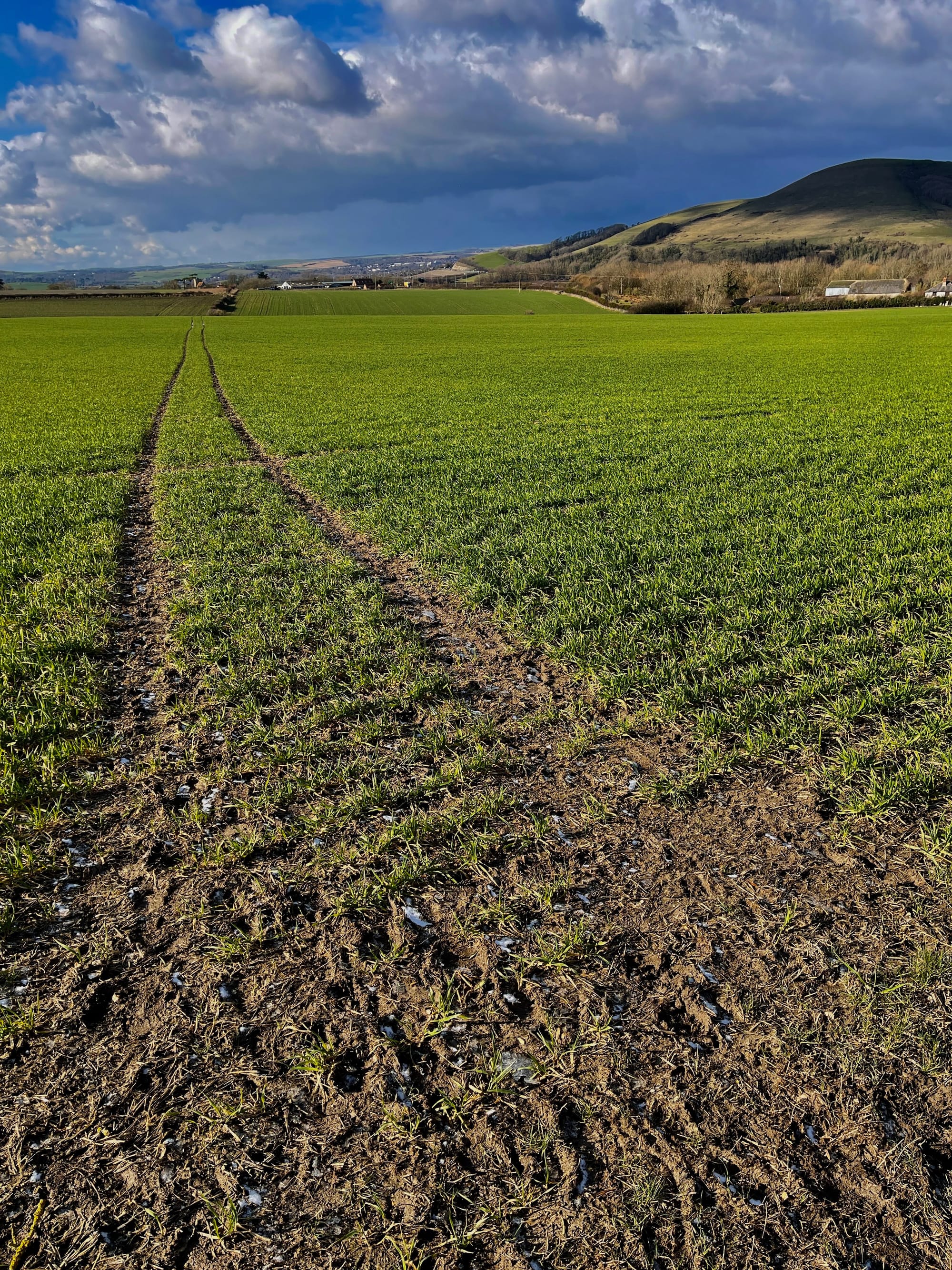 Mount Caburn Bypass. Beddingham, East Sussex