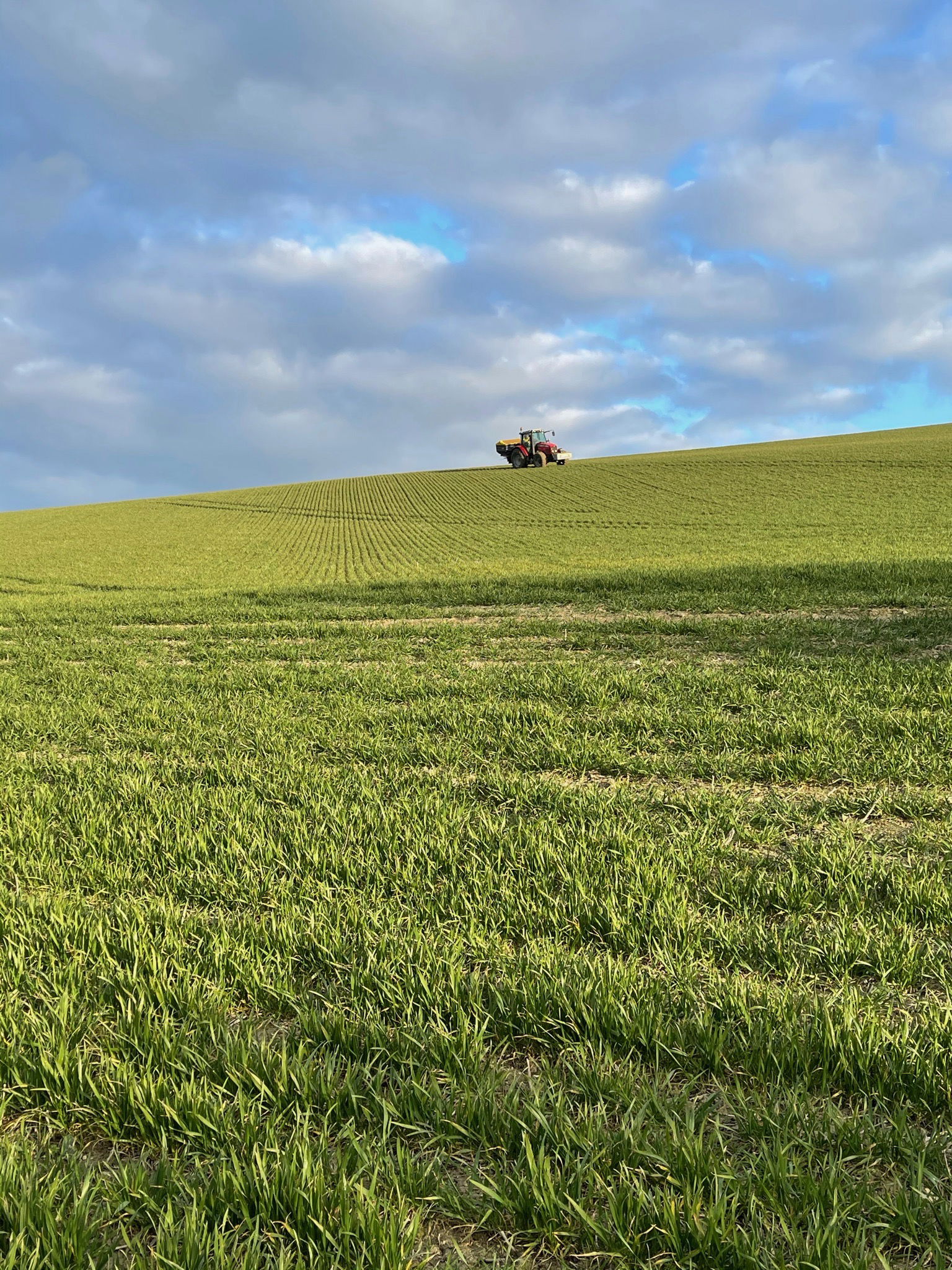 Spring! Beddingham, East Sussex