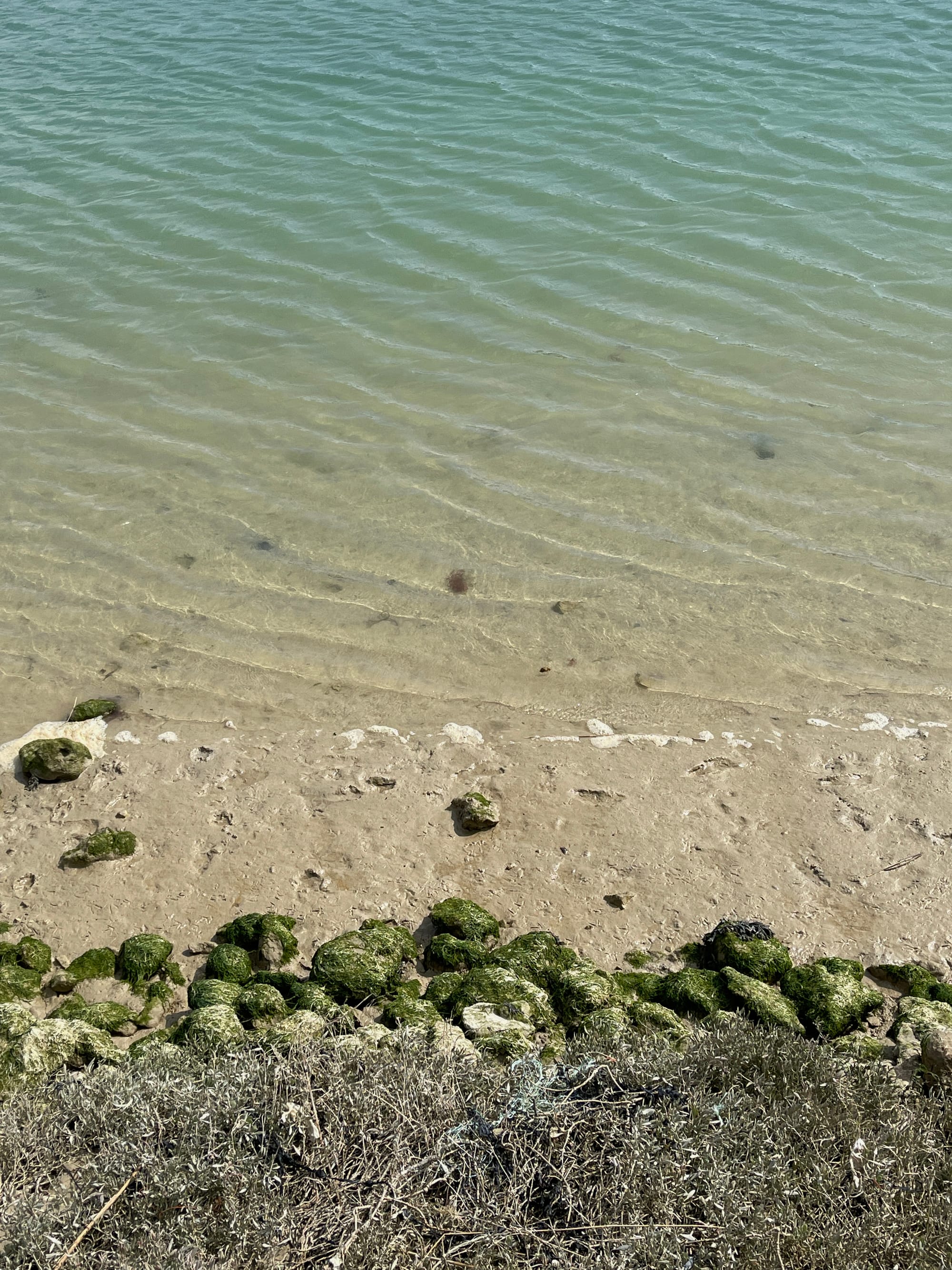 Tide Rising. Cuckmere, East Sussex