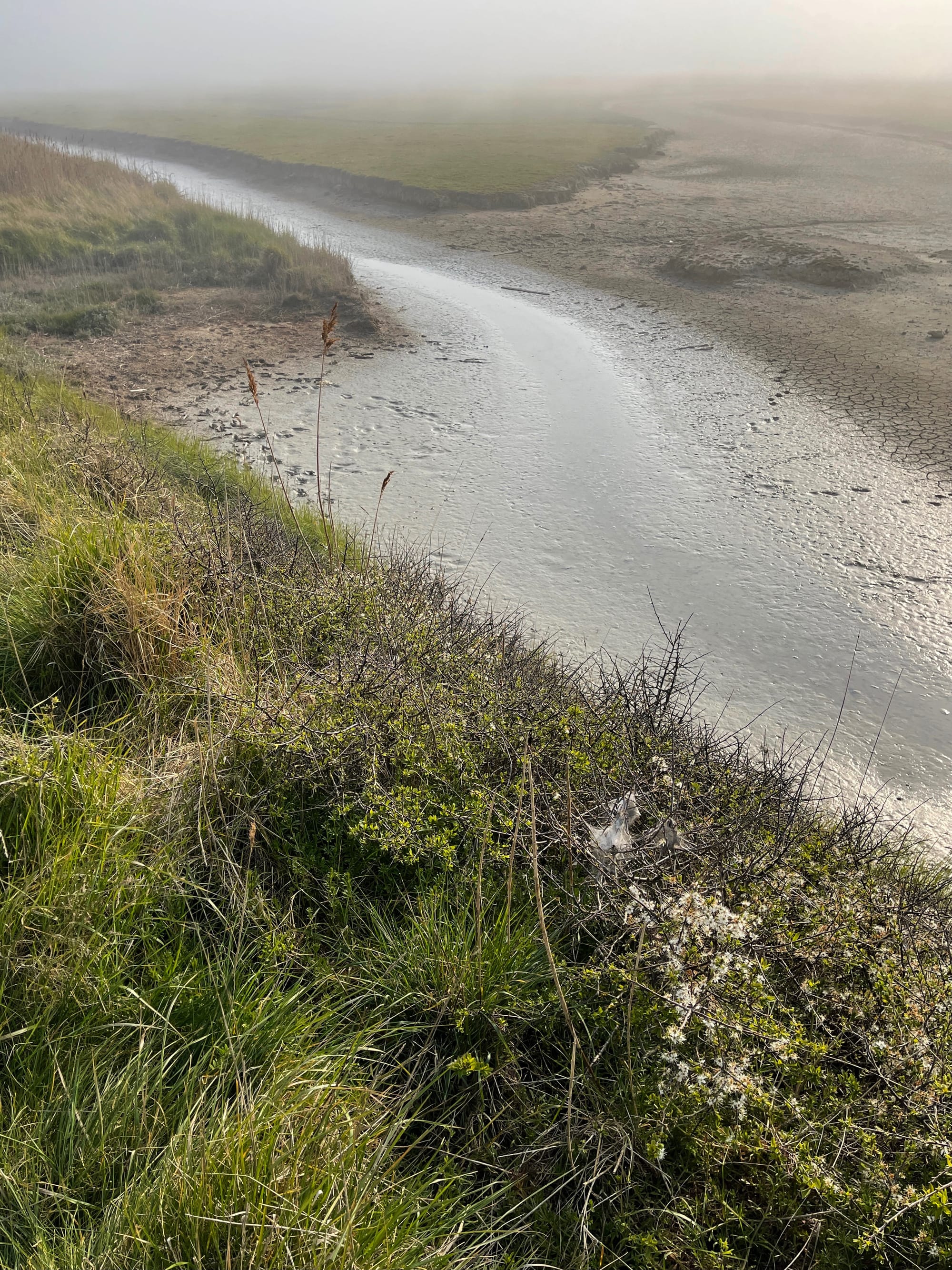 Misty Creek, Cuckmere, East Sussex